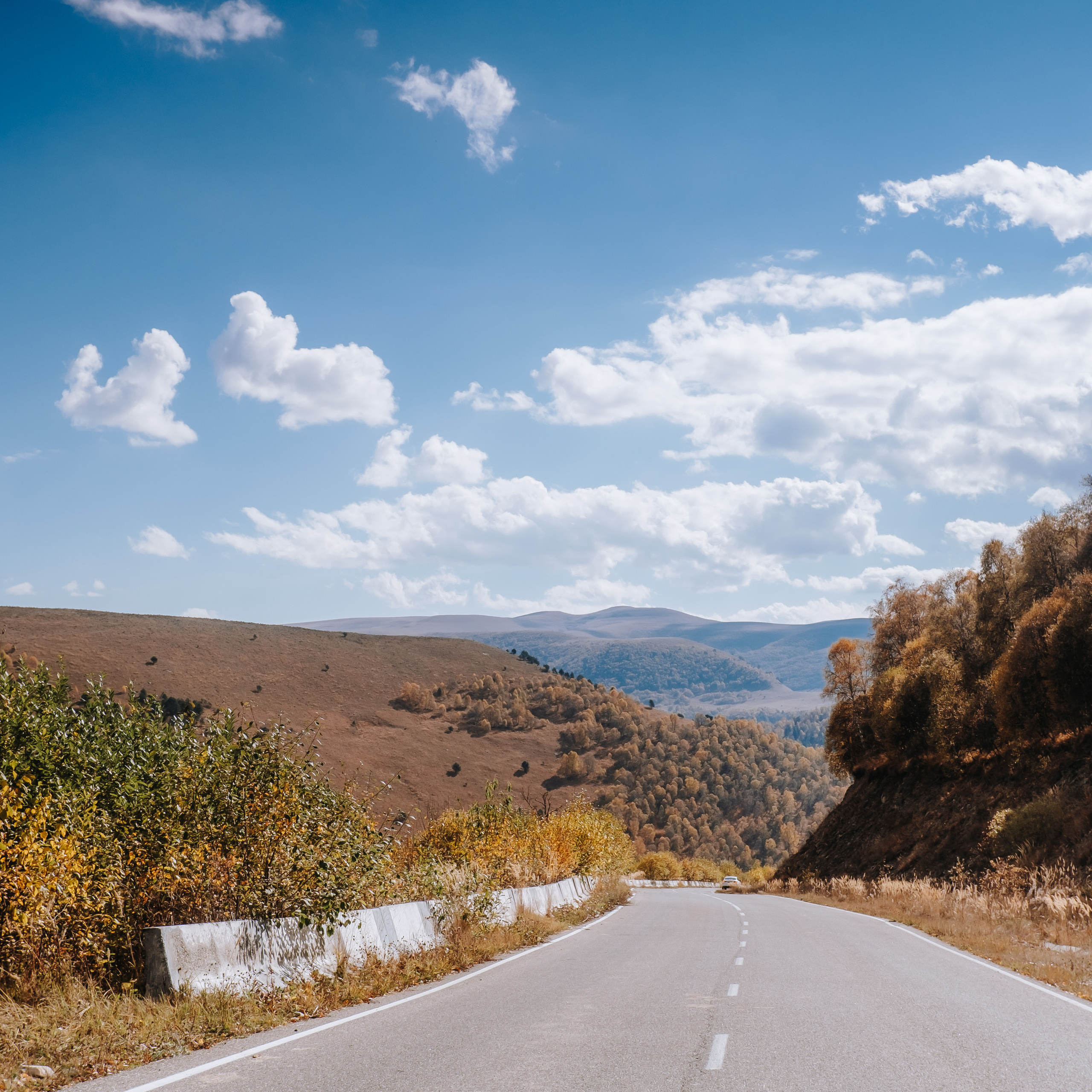 КМВ (октябрь 2021)