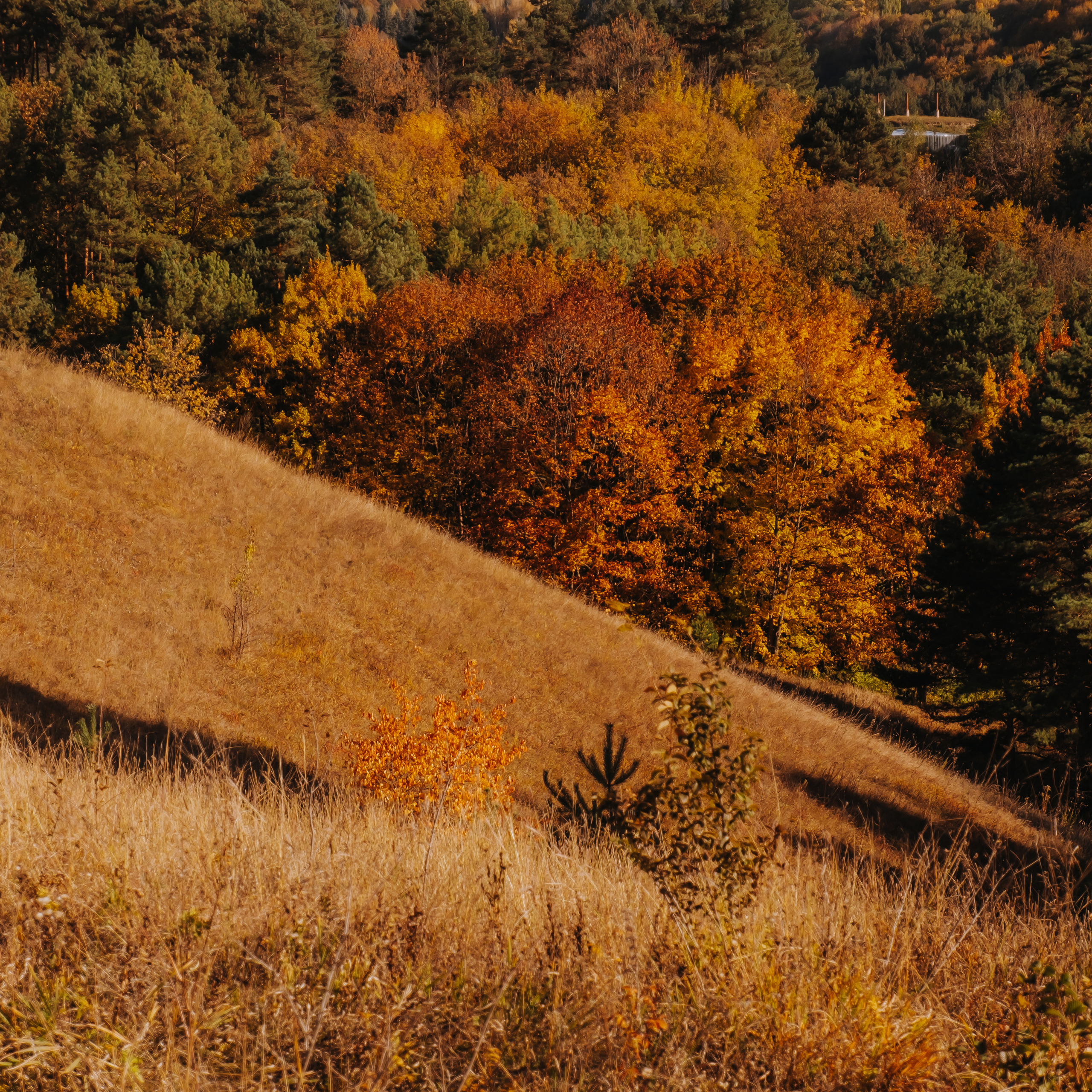 КМВ (октябрь 2021)