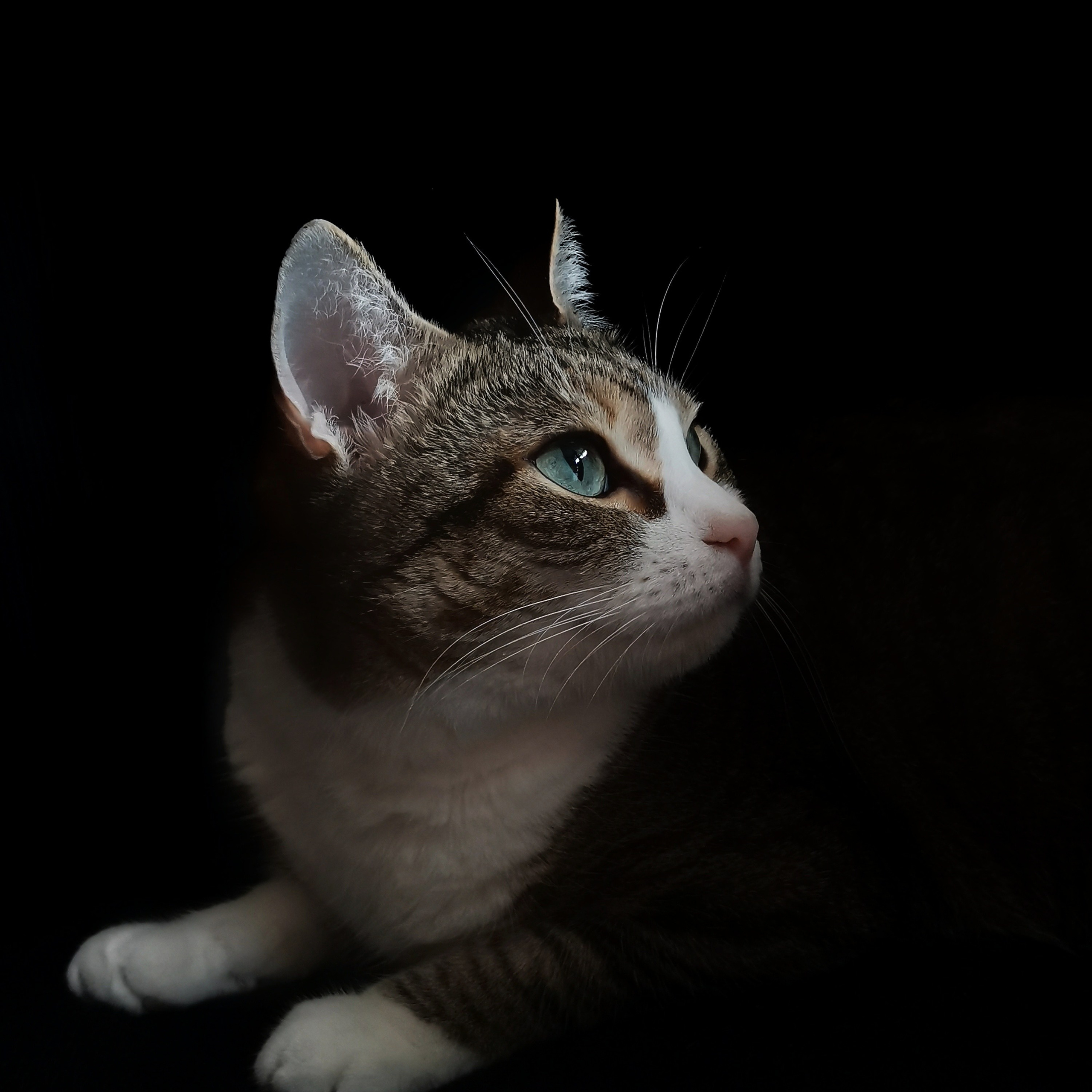 На камеру. Портретный Фотограф в Калининграде Николай Бибиков