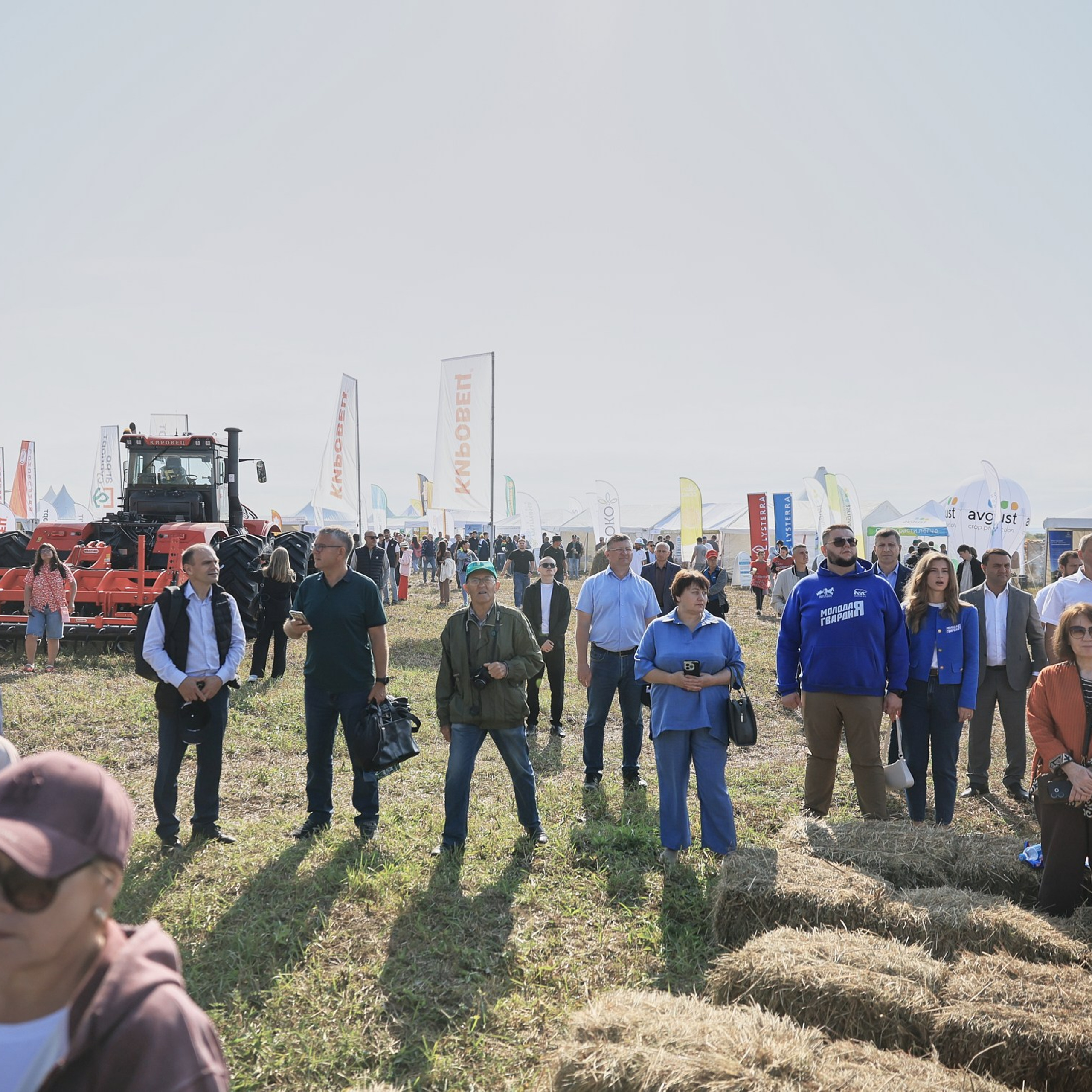 «День поля — 2026»: техника, урожай и люди. Наташа Скрипка