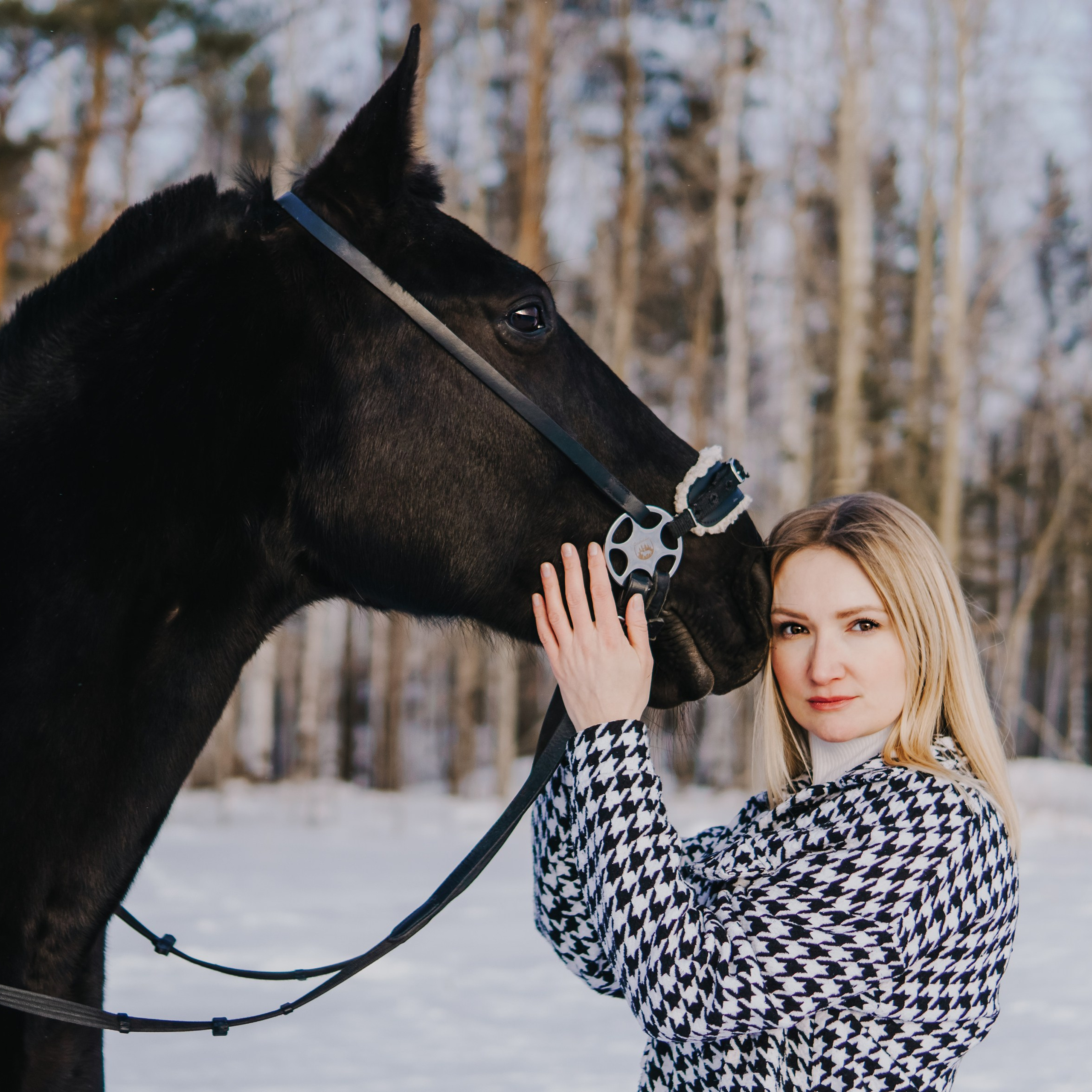 Блог. Saamill