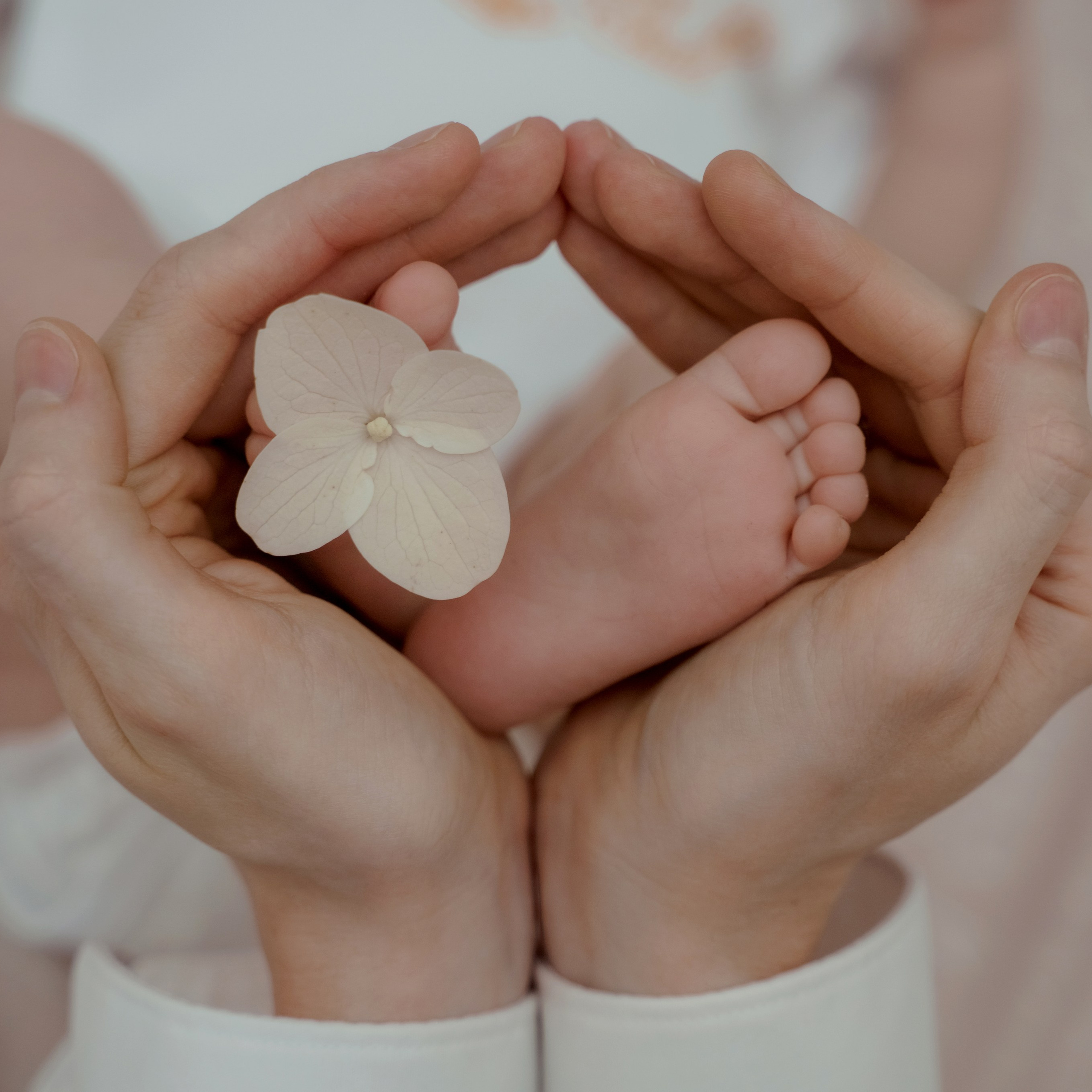 Фотосессия новорожденных с родителями