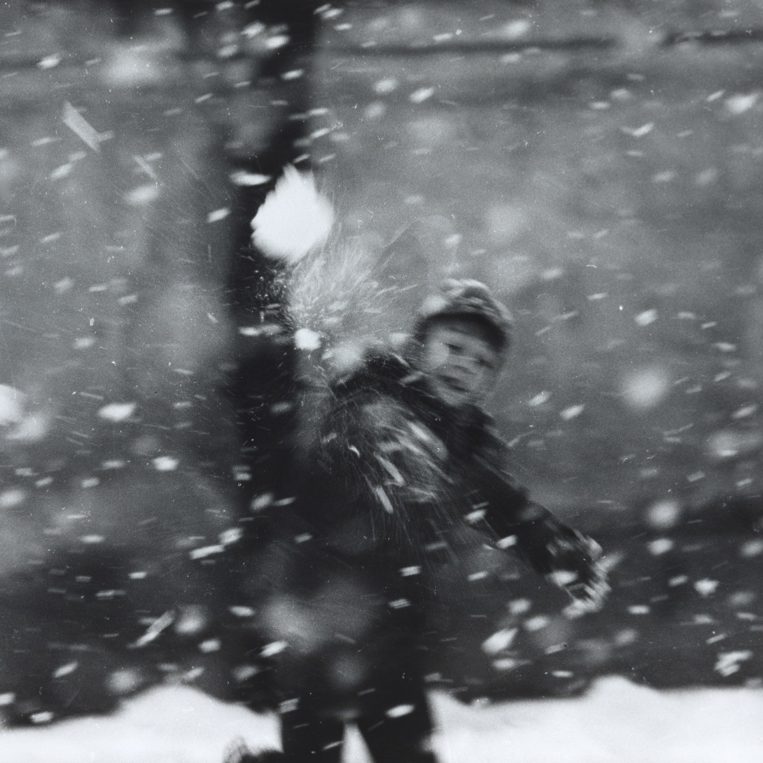 Текущая выставка: «Снежные дни» Людмила Таболина