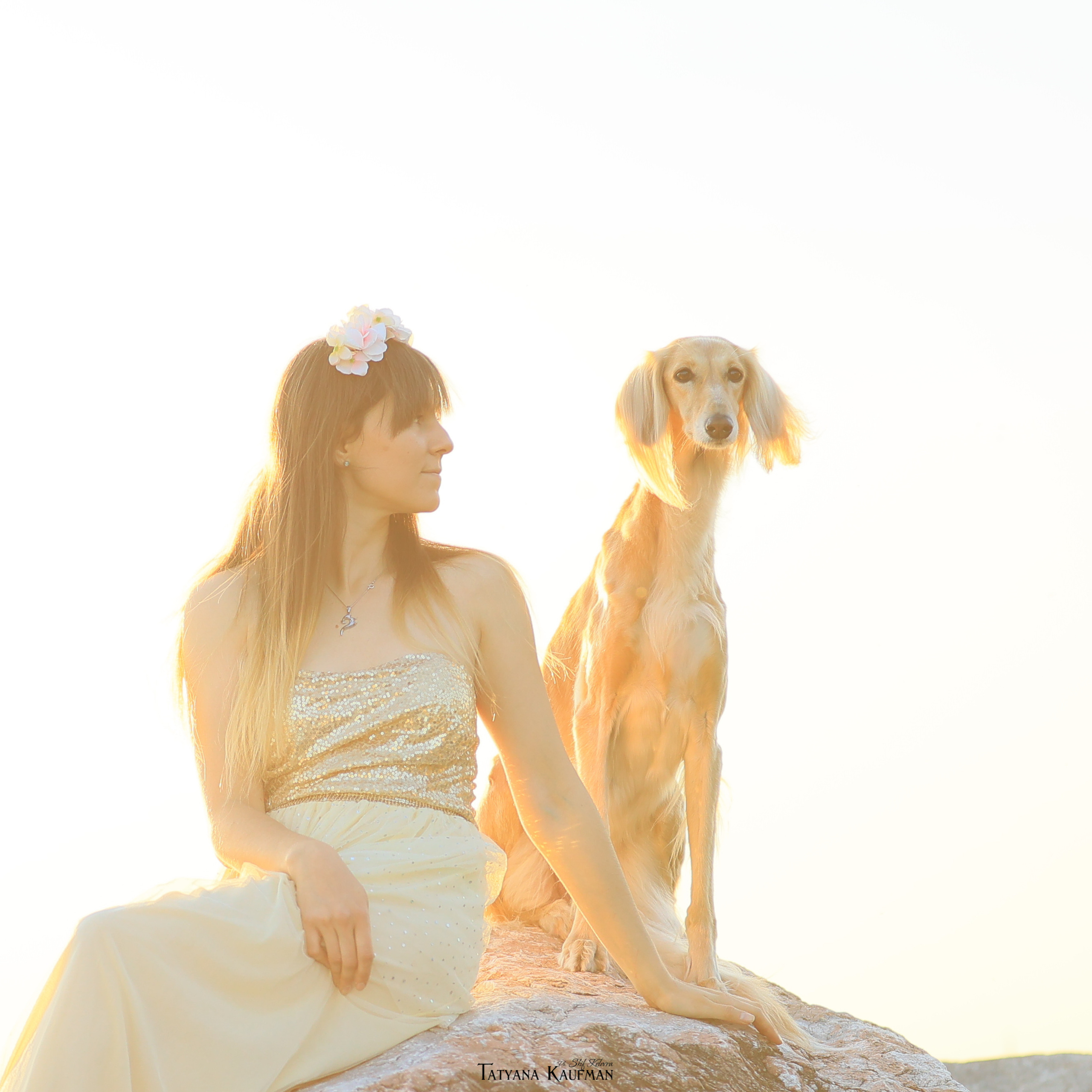 Фотогалерея Татьяны Кауфман. Фотограф Анималист из Новосибирска Татьяна Кауфман