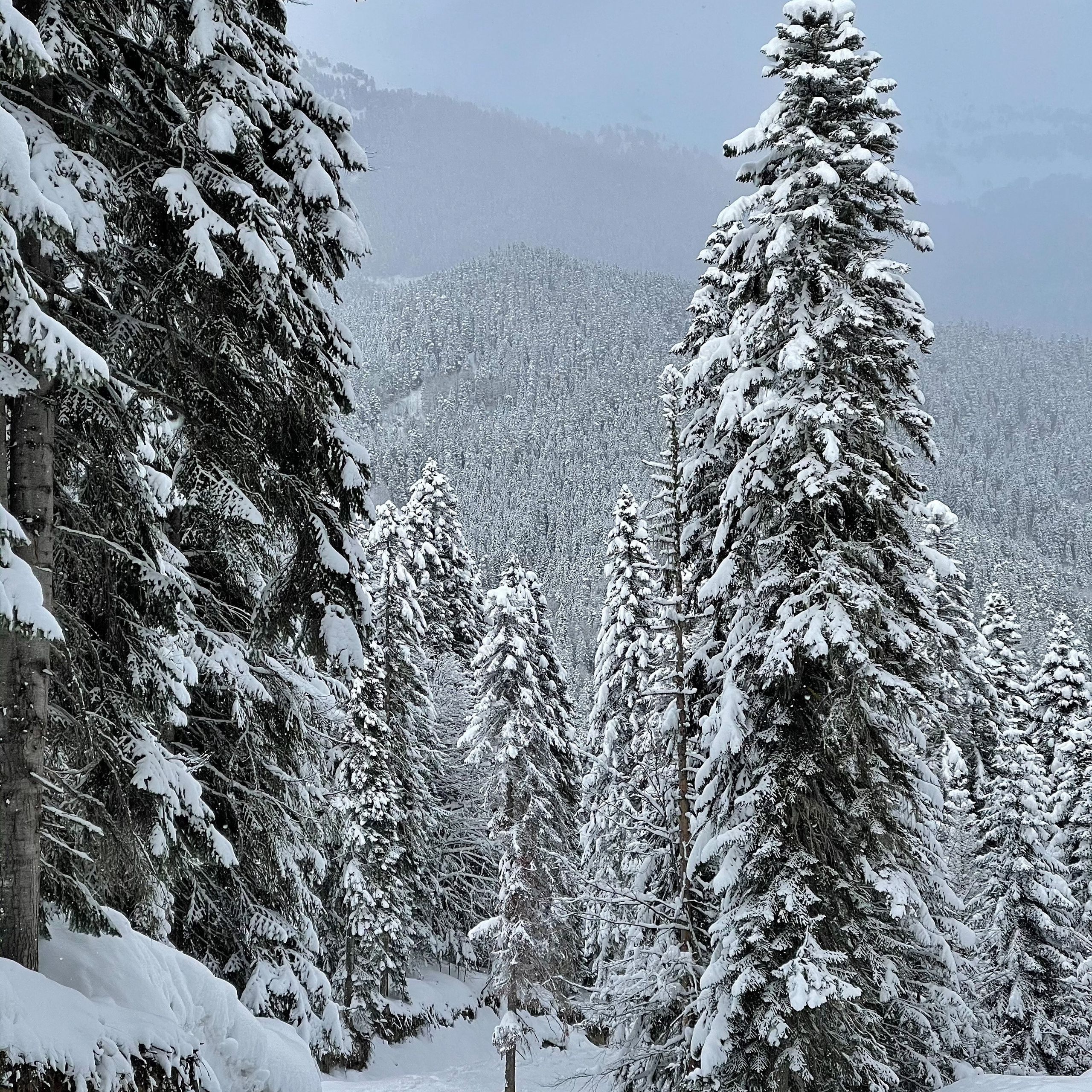 Snow camp. Архыз Эльбрус. Уникальные экспедиции — LUCKY CLAN