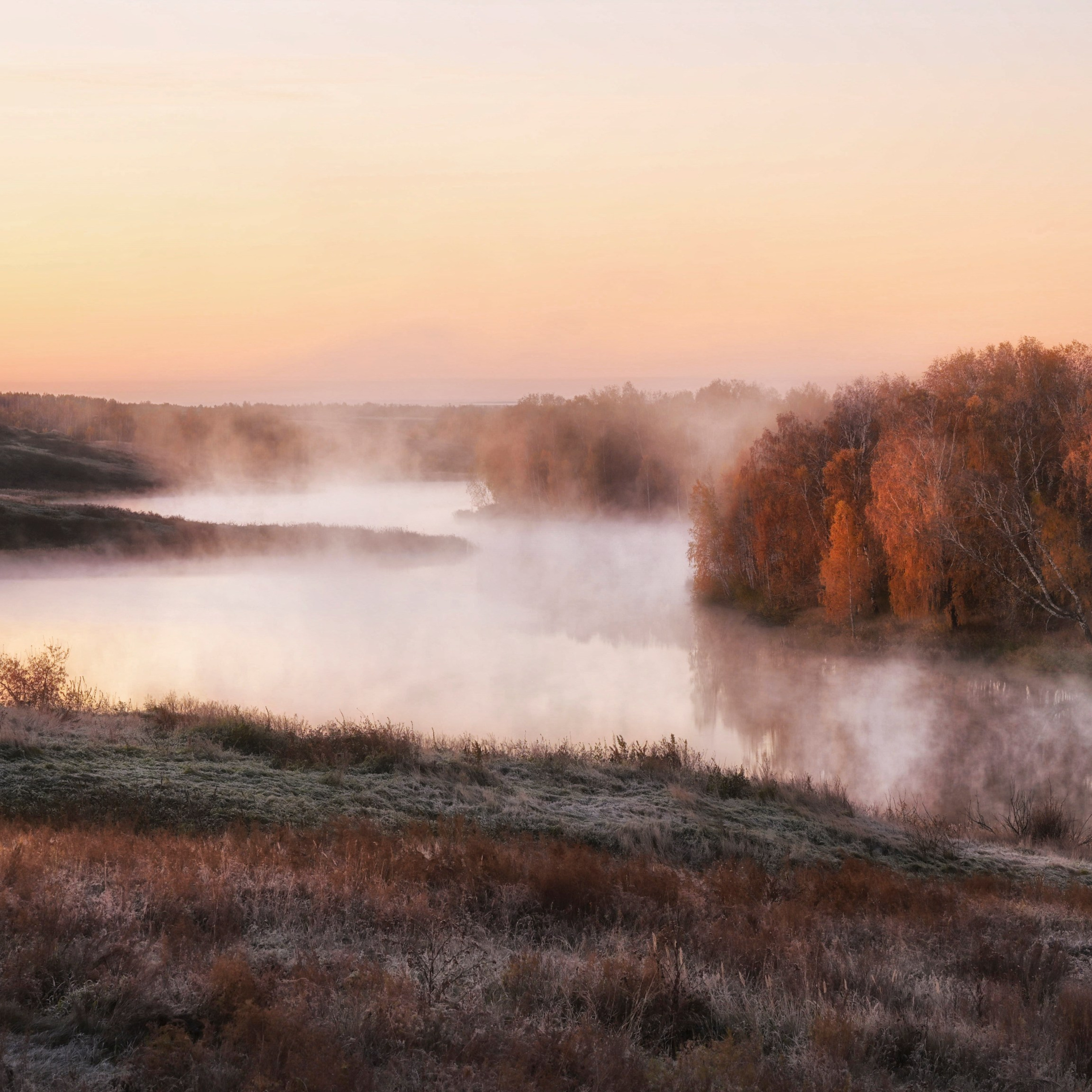 Курганская область