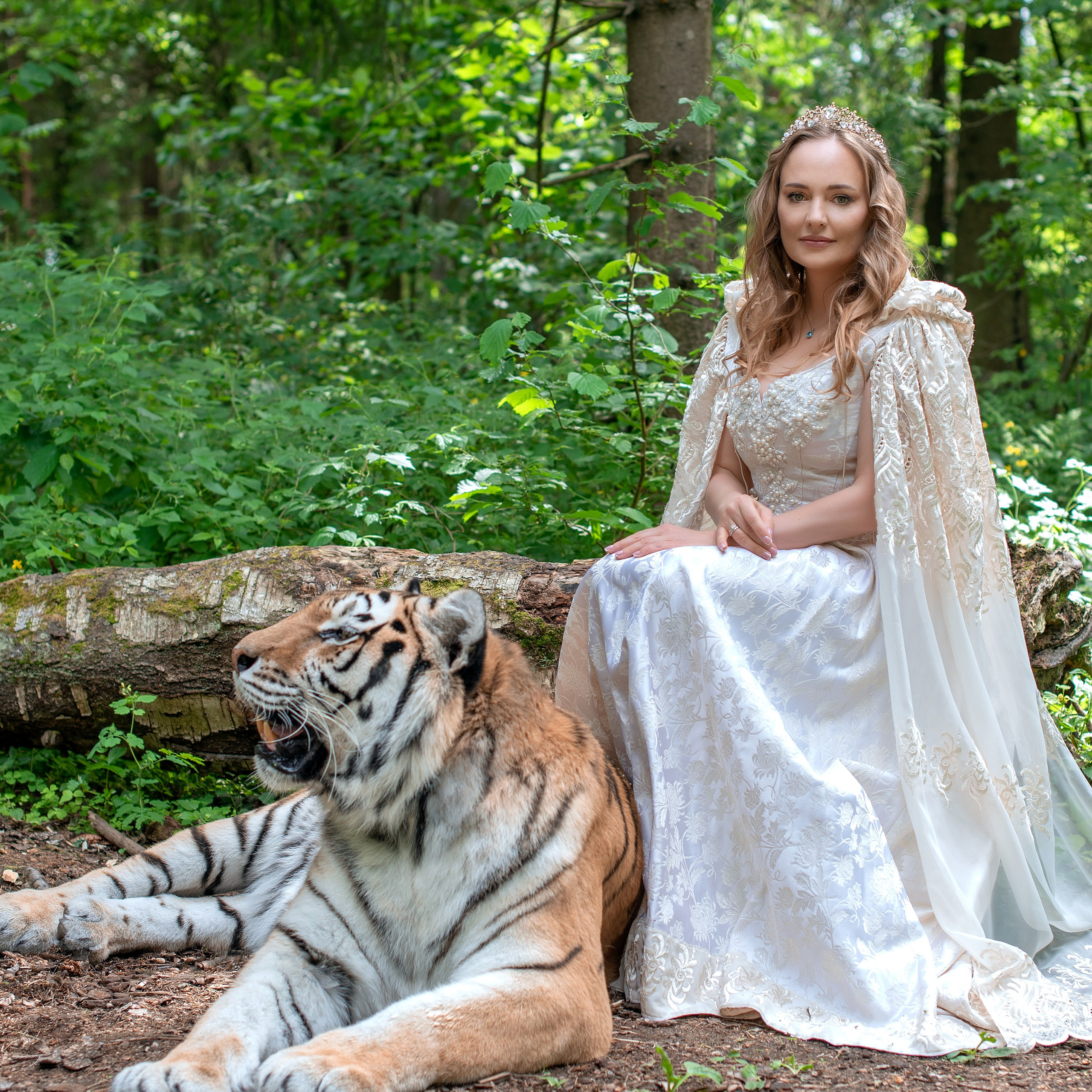 фотосессия с тигром, фотосессия с тигром в москве, тигр москва, девушка с тигром, девушка и тигр, портрет с тигром, фото с тигром