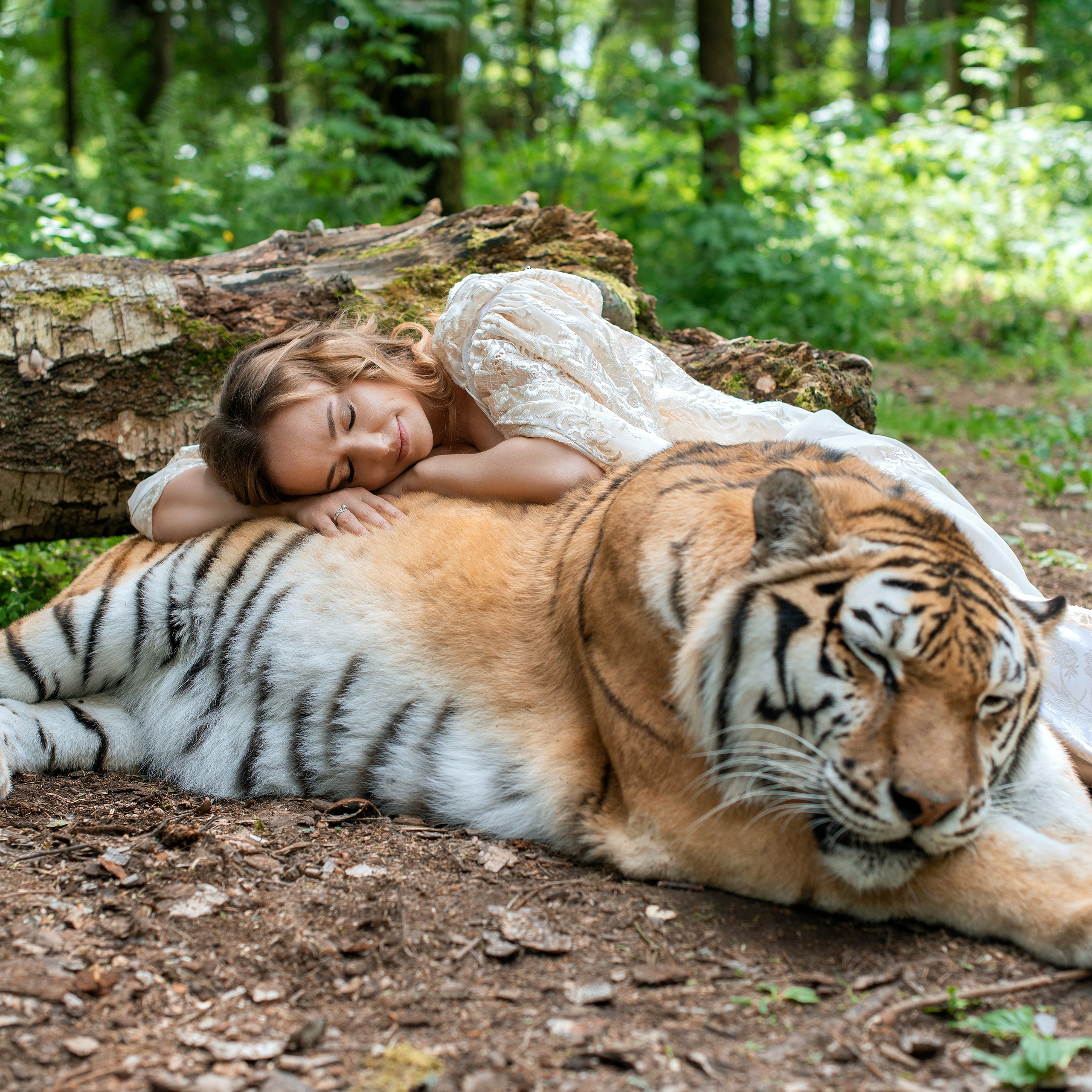 фотосессия с тигром, фотосессия с тигром в москве, тигр москва, девушка с тигром, девушка и тигр, портрет с тигром, фото с тигром