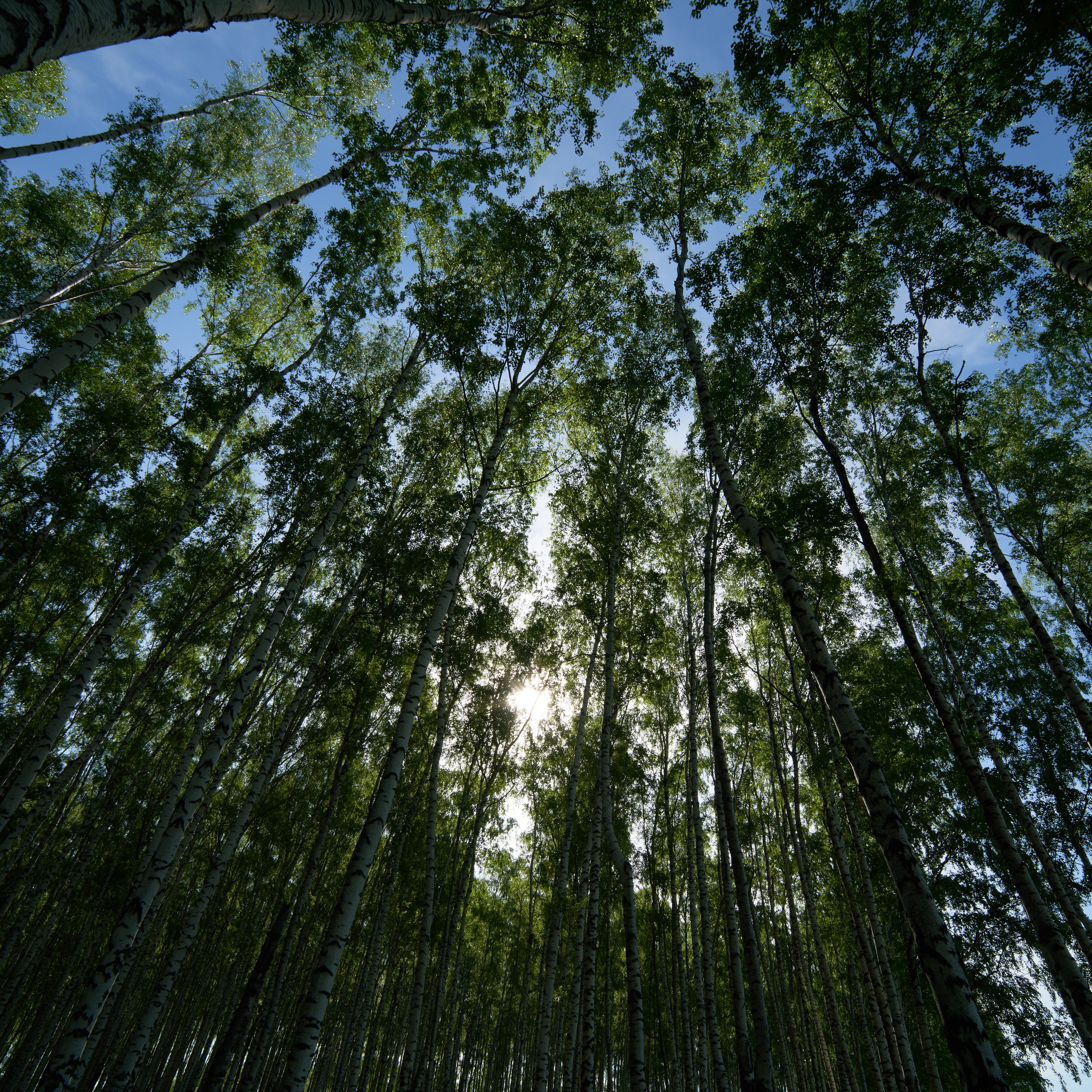 Креативный продюсер, фотограф, режиссёр Але Мааранен (Ale Määranen)