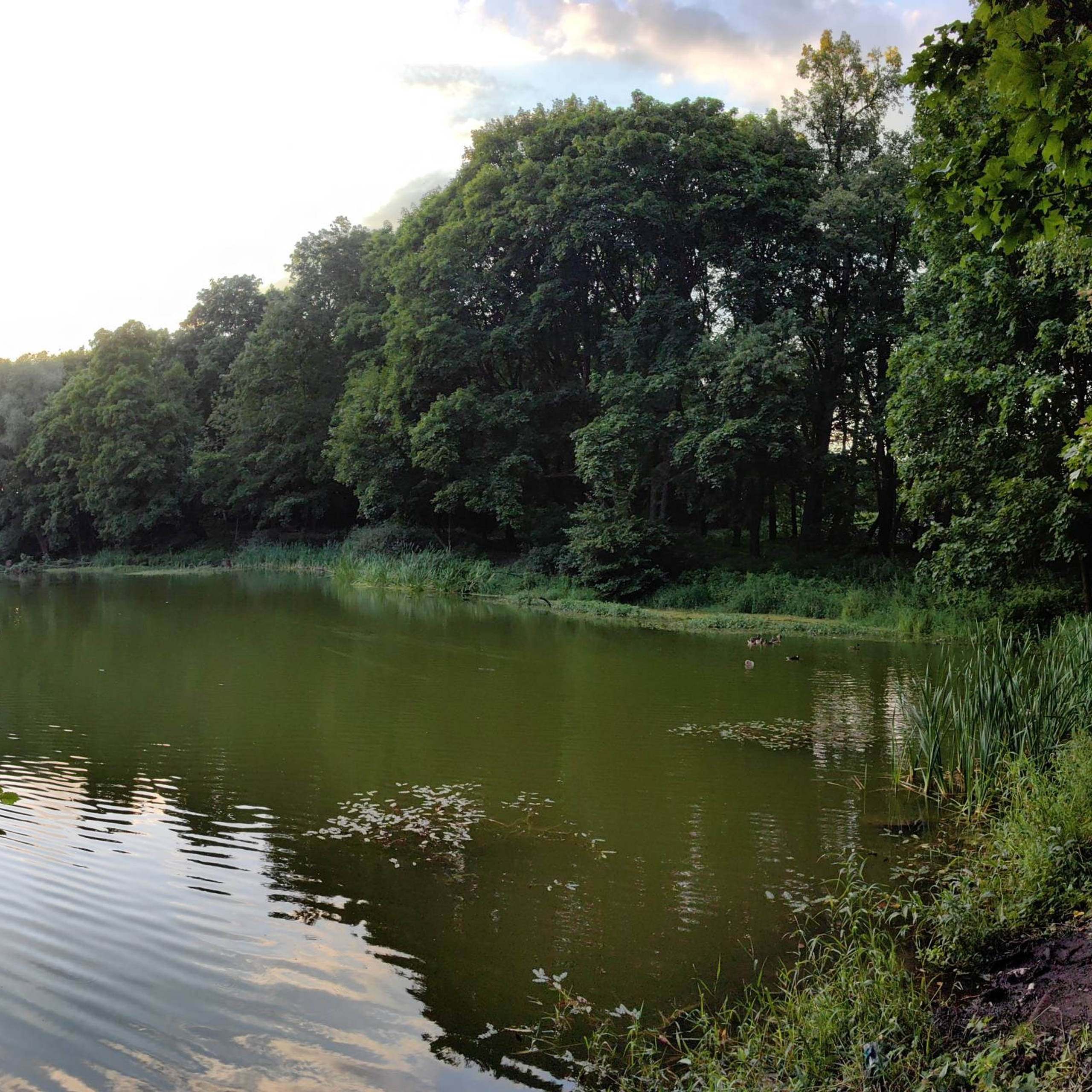 Усадьба Быково. Купить картину на холсте для интерьера|художник | дизайнер | архитектор Сергей Ратчин в Москве