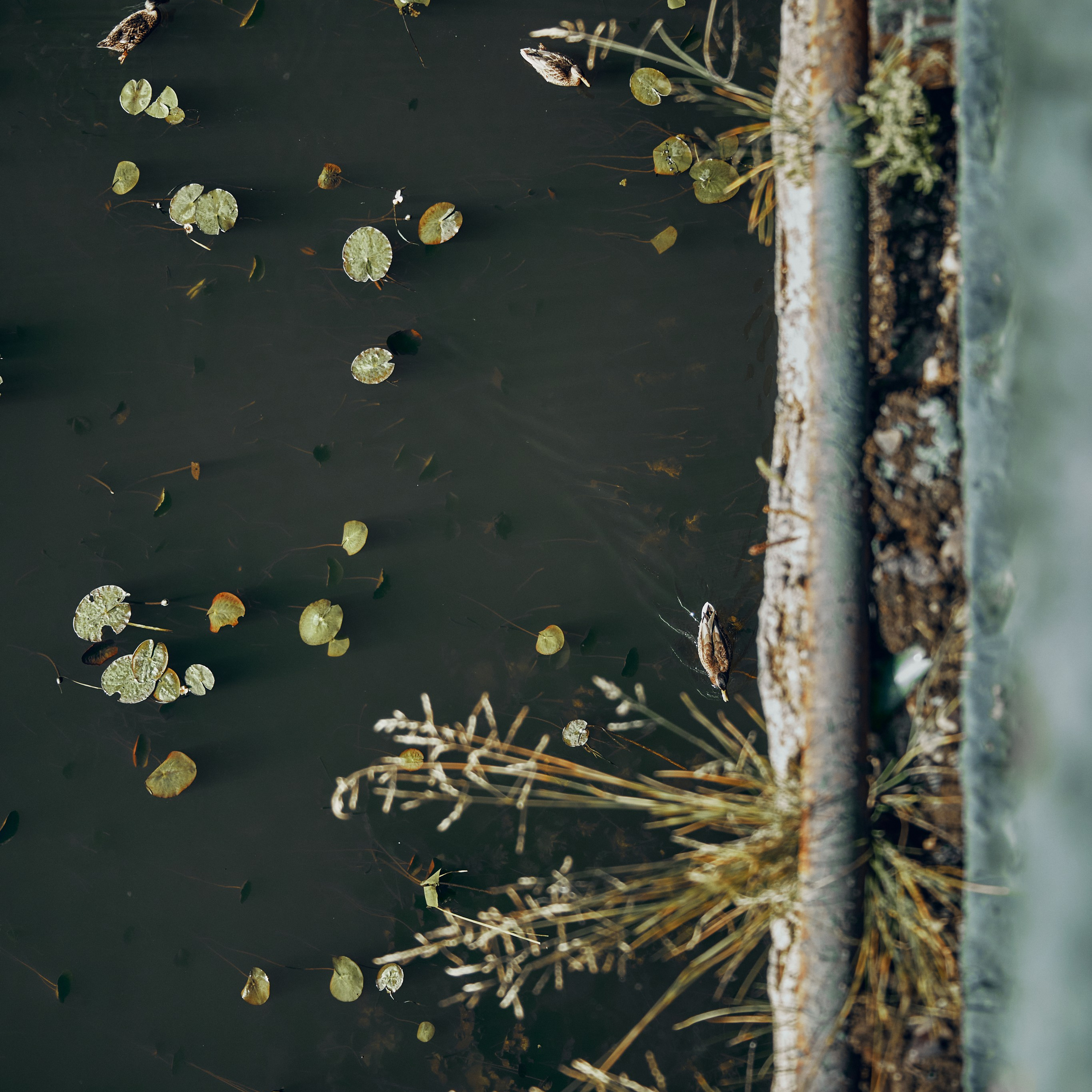 Иваново. Города России. Travel street photo. Visual artist (photo & arts)