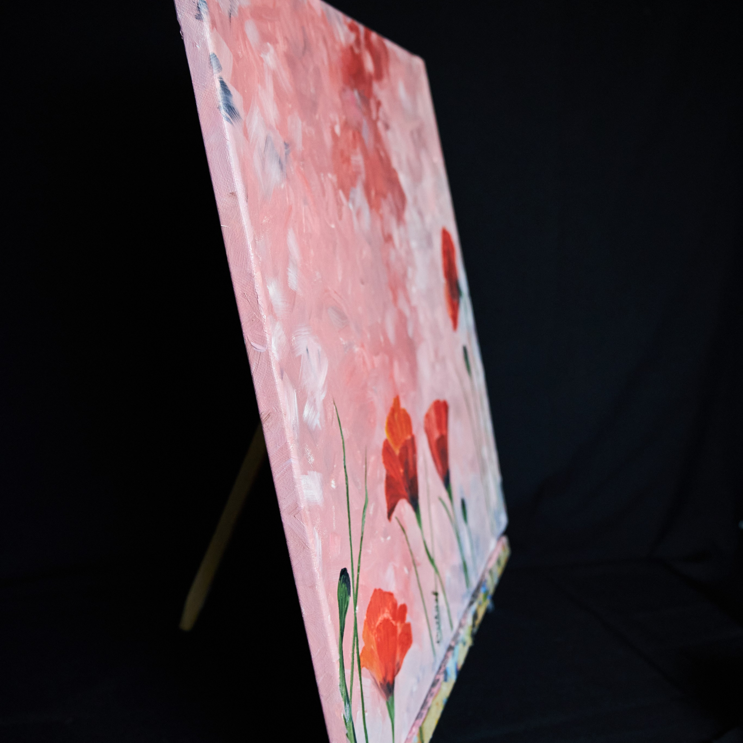 Red poppies in a red sky. Visual artist (photo & arts)