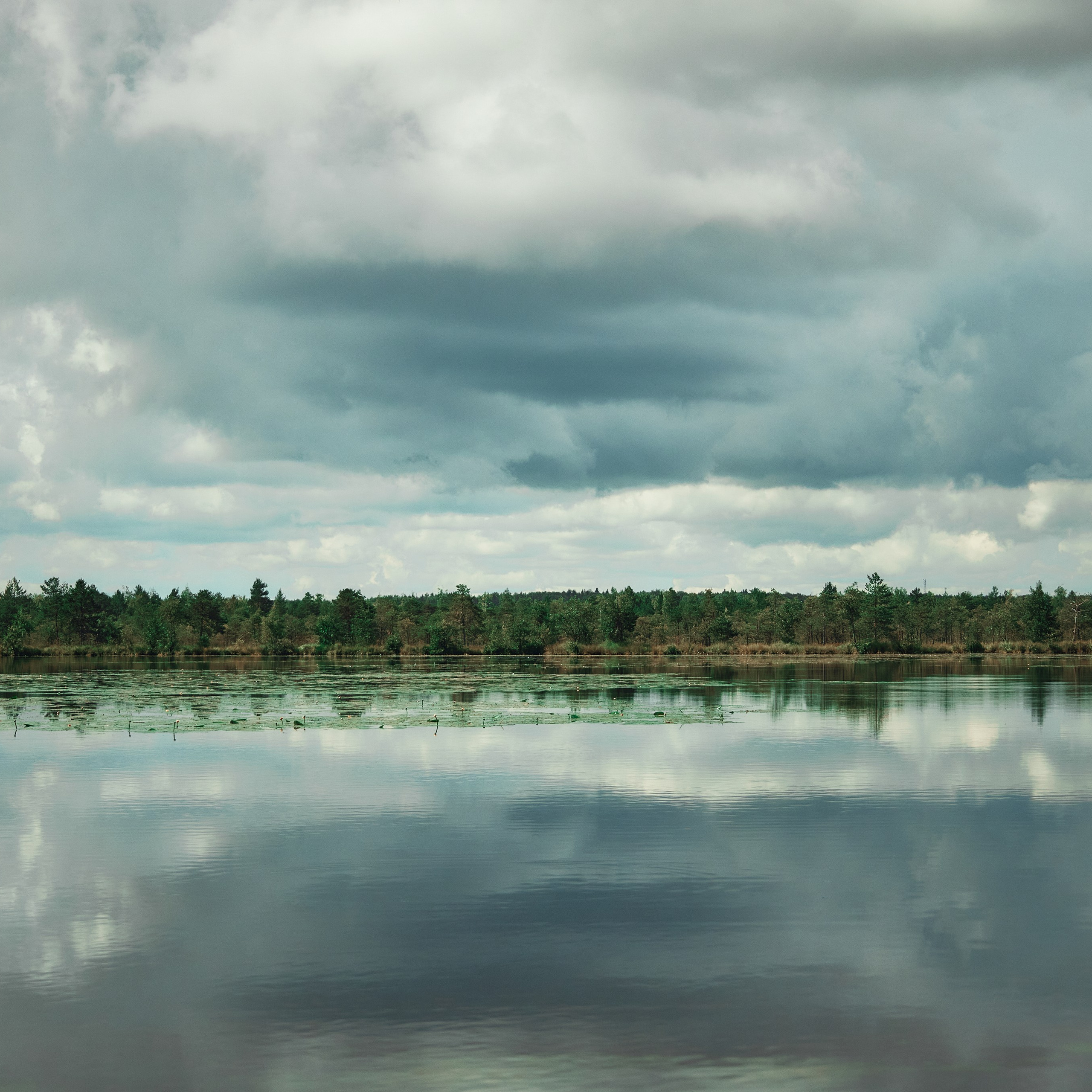 Иваново. Города России. Travel street photo. Visual artist (photo & arts)