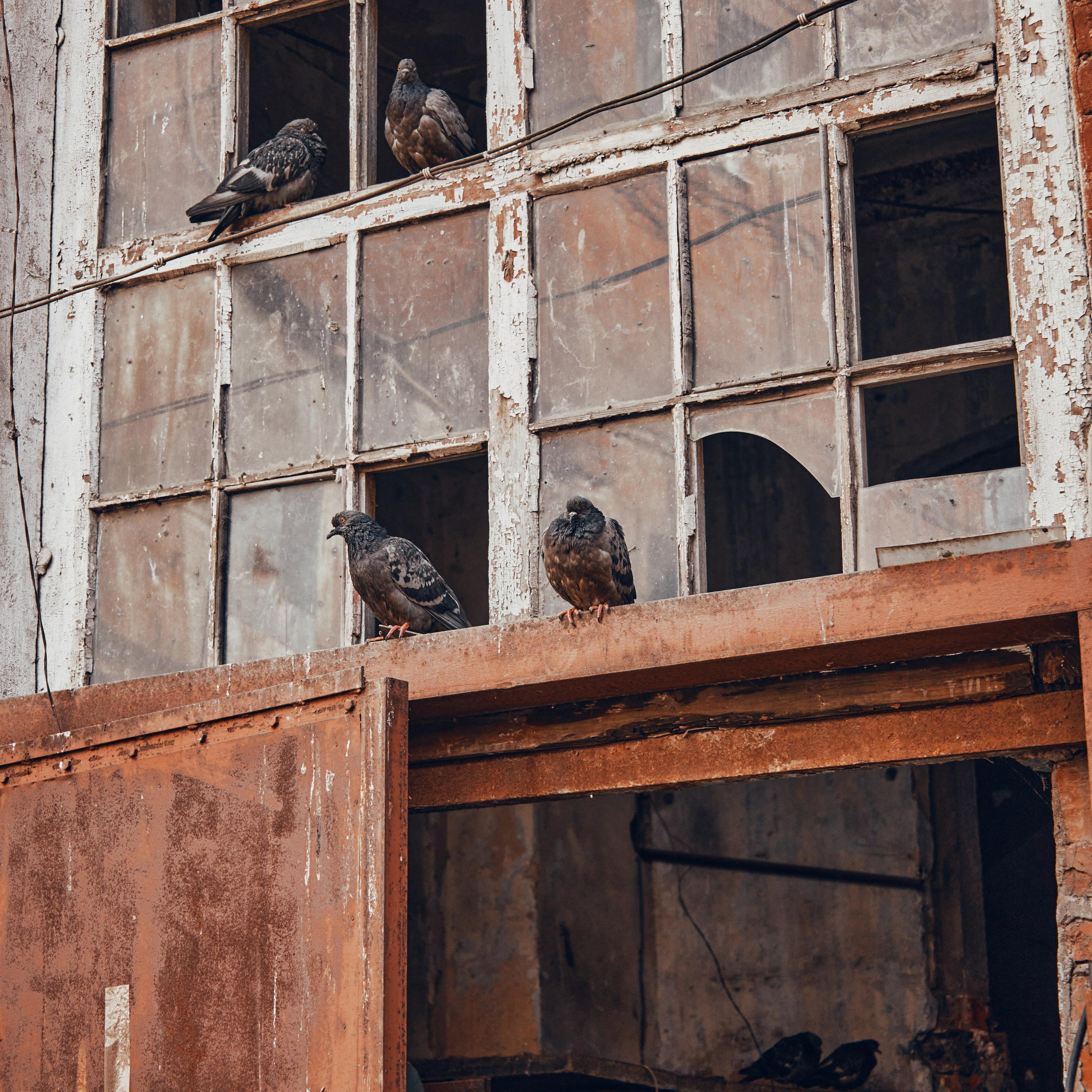 Иваново. Города России. Travel street photo. Visual artist (photo & arts)