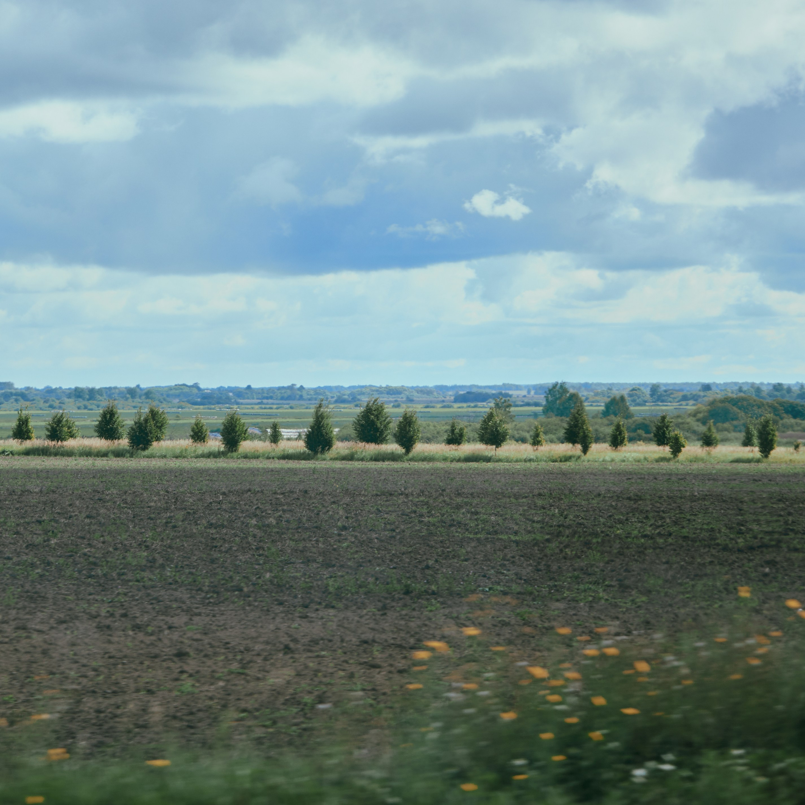 Иваново. Города России. Travel street photo. Visual artist (photo & arts)