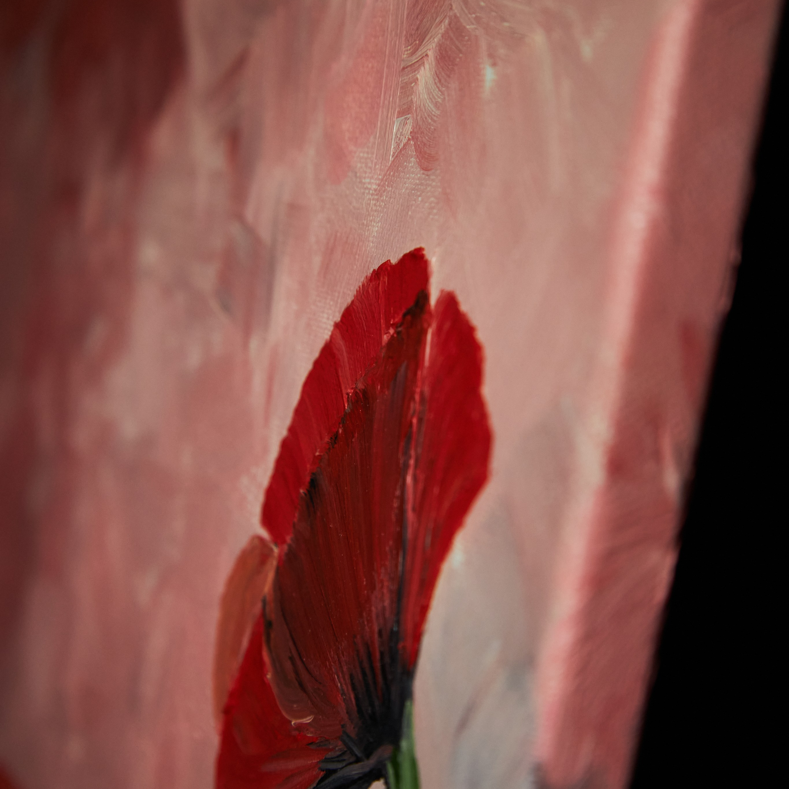 Red poppies in a red sky. Visual artist (photo & arts)