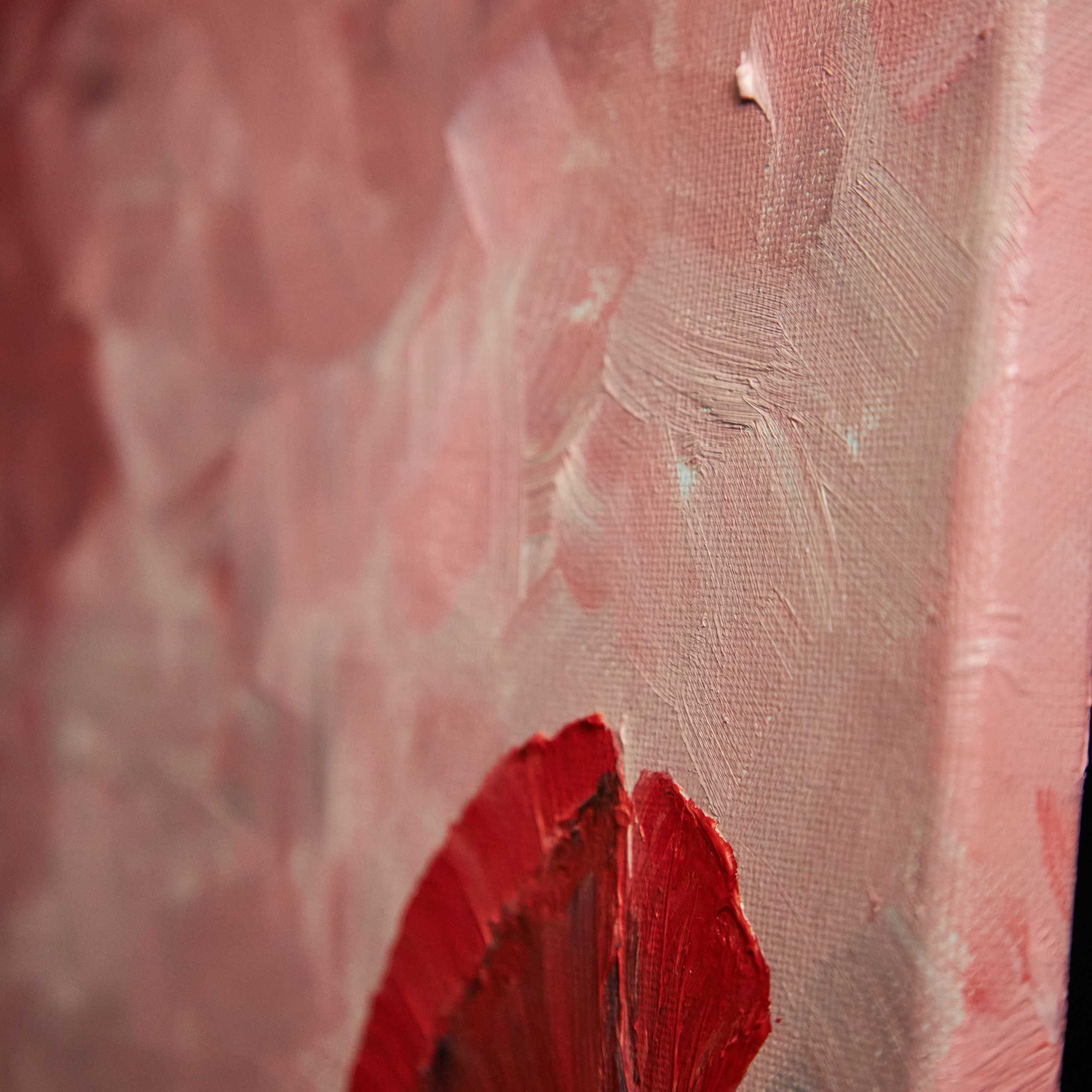 Red poppies in a red sky. Visual artist (photo & arts)