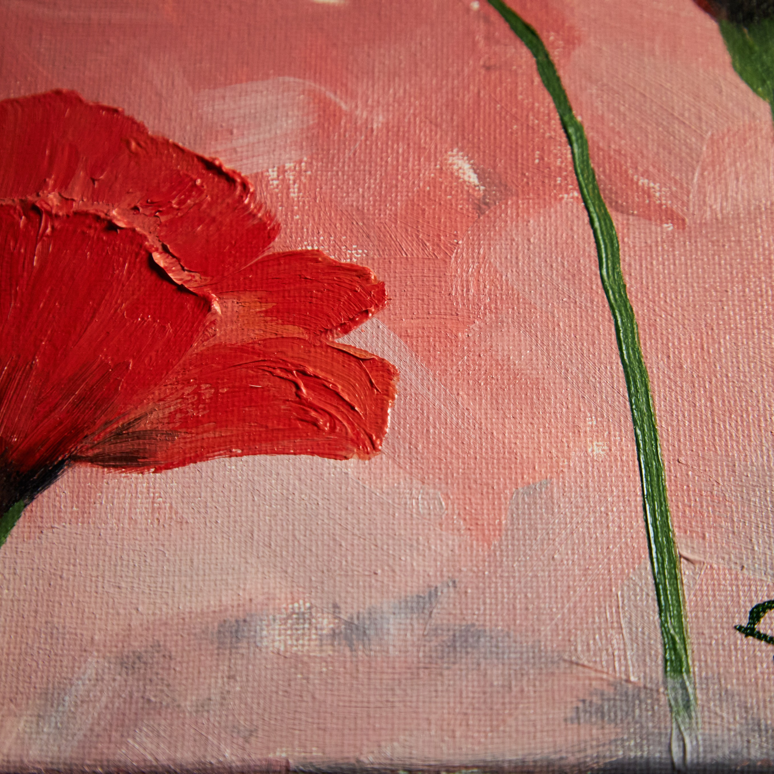 Red poppies in a red sky. Visual artist (photo & arts)