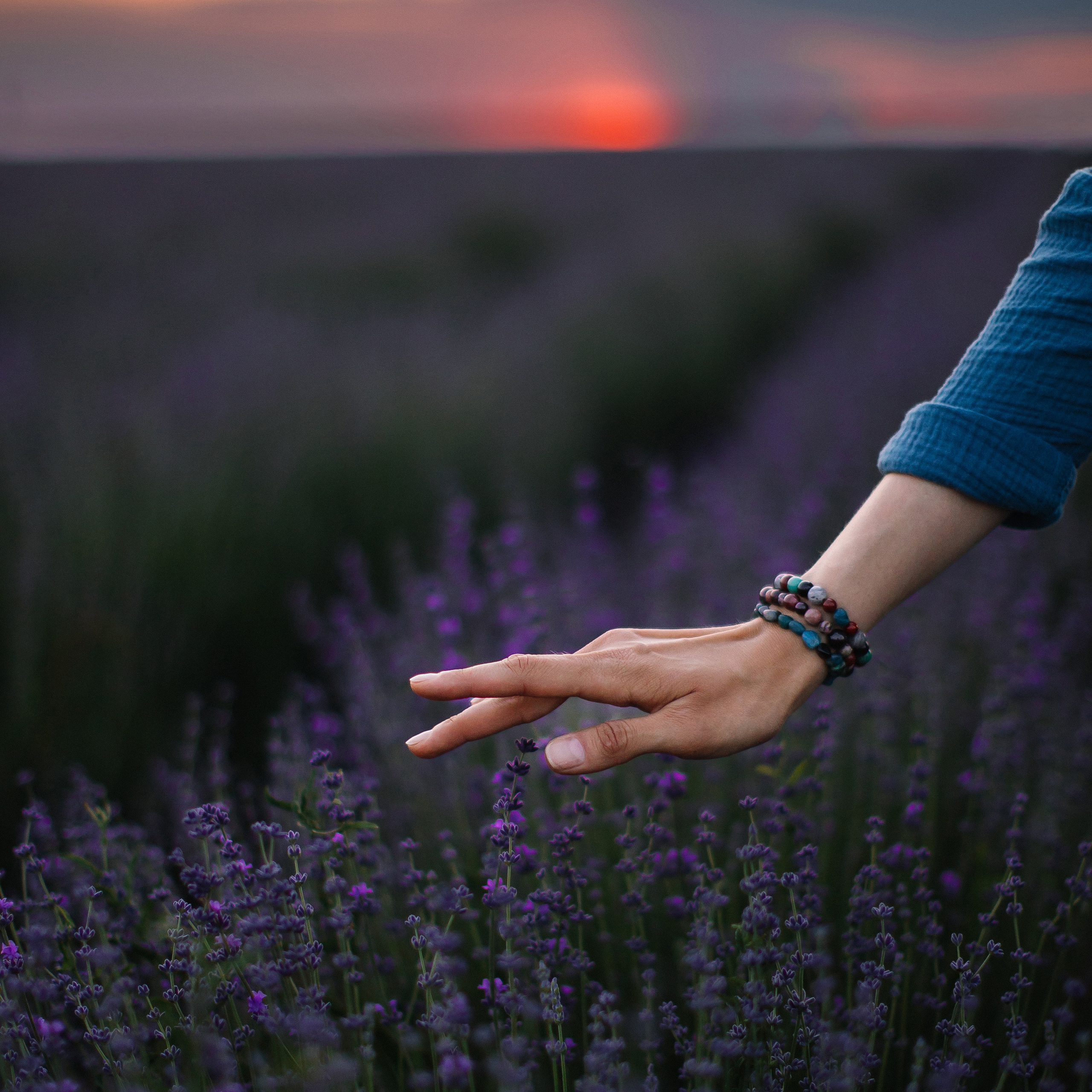 Лето. Алексей Зараковский. Свадебный и портретный фотограф в Туле