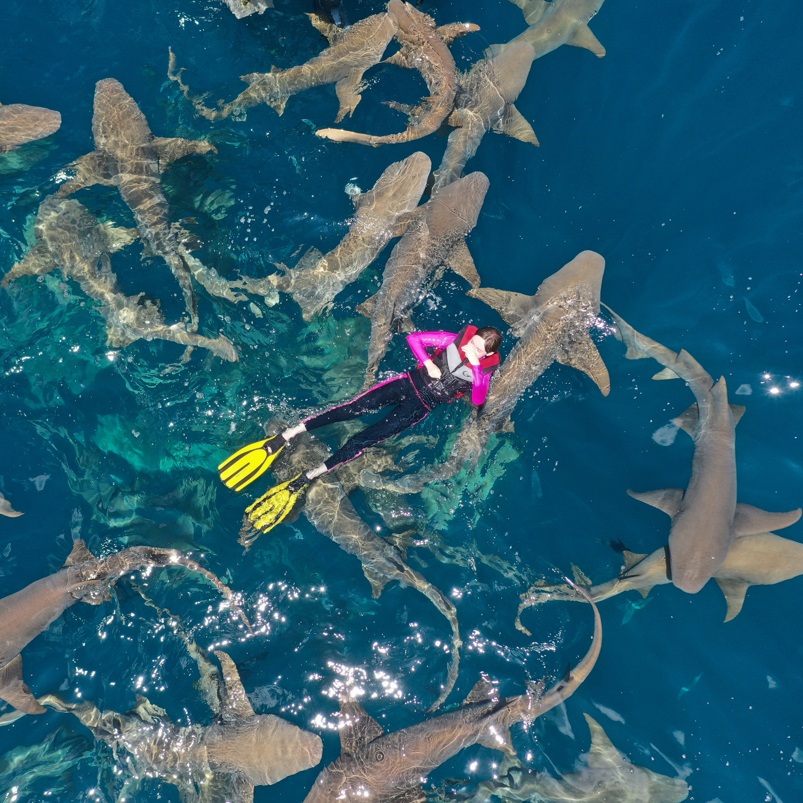 EXCURSIONS IN THE MALDIVES