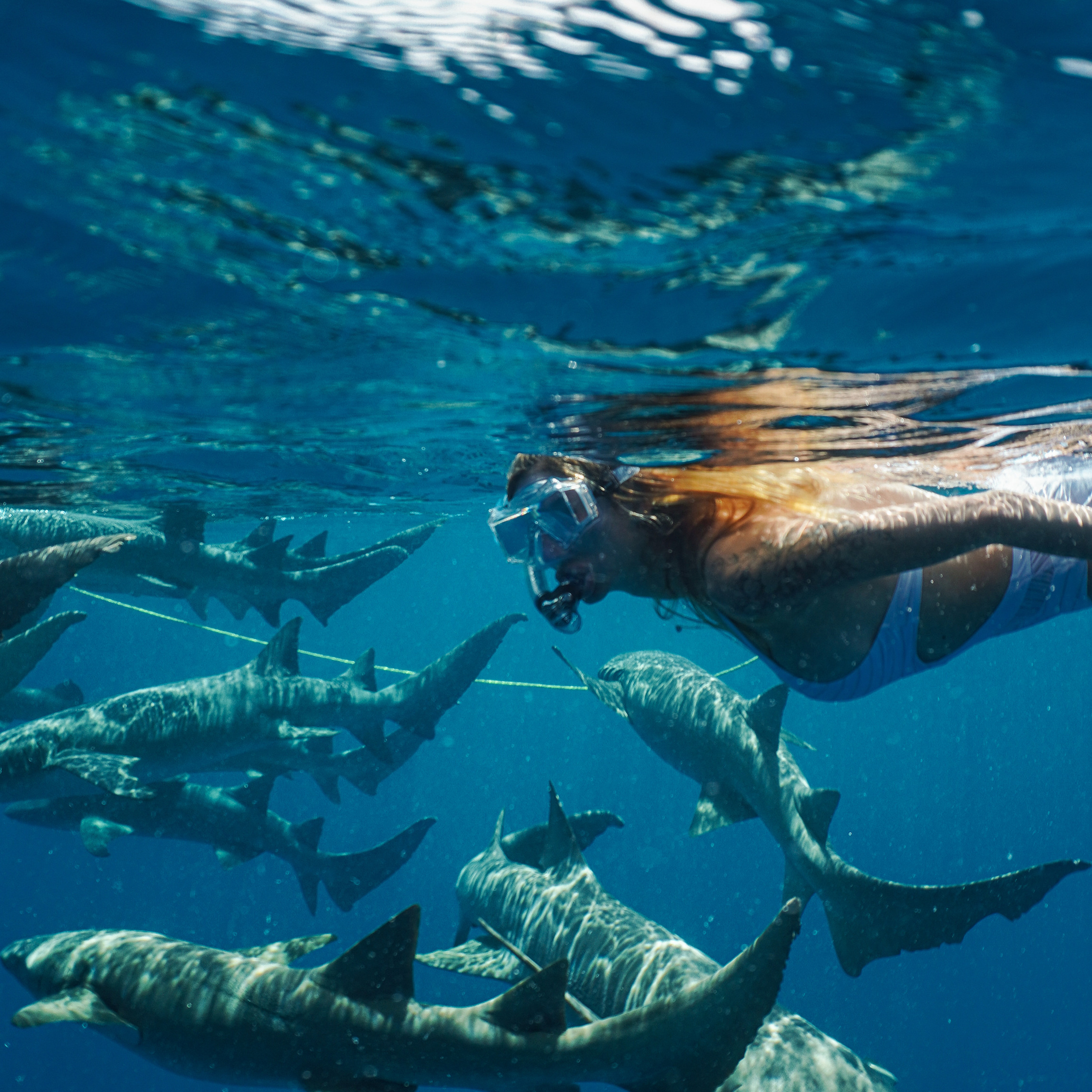 EXCURSIONS IN THE MALDIVES