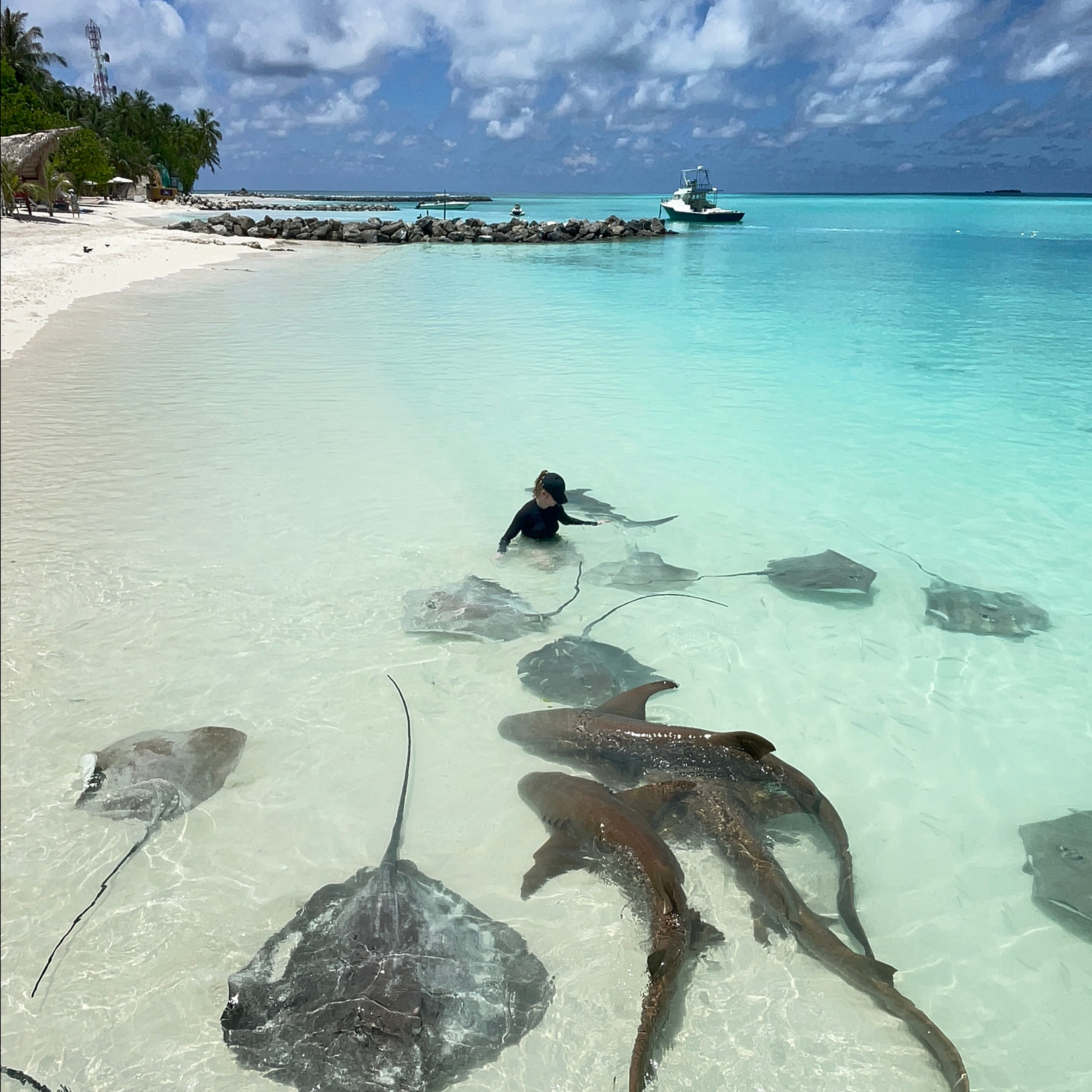 EXCURSIONS IN THE MALDIVES