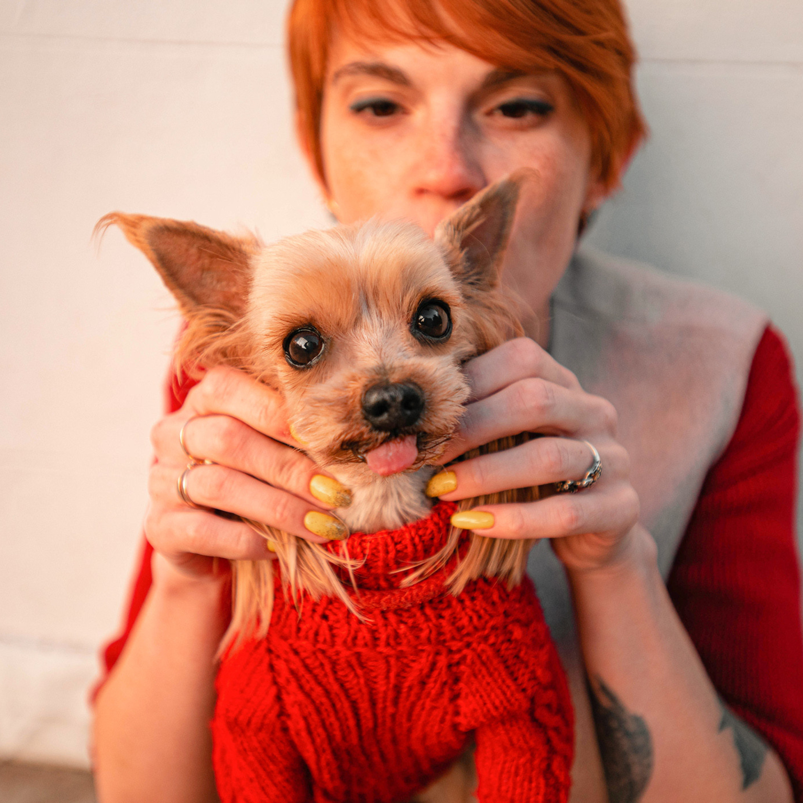 Ира и Вжик. Фотограф — анималист Саратов/Москва|Плужникова Юлия