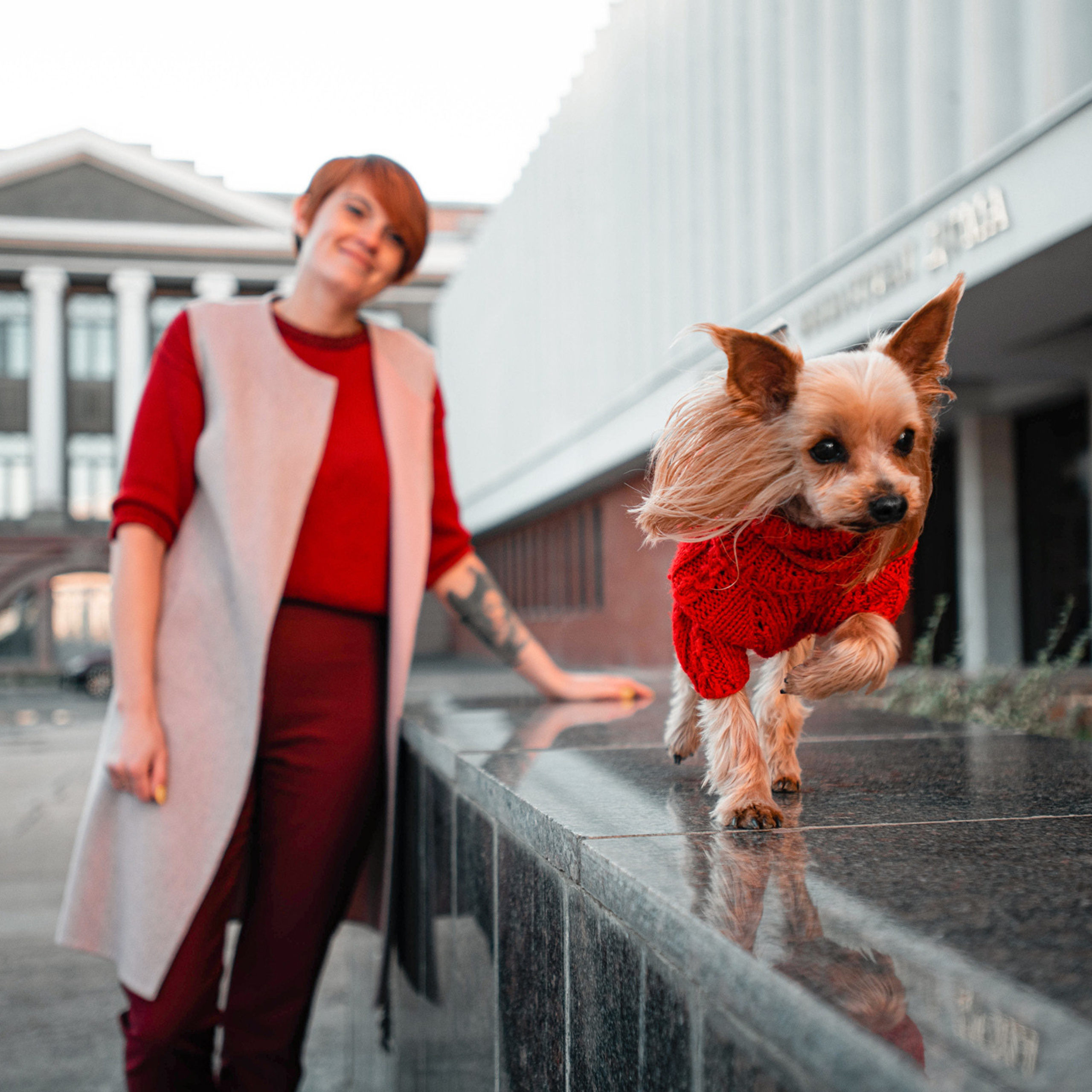 Ира и Вжик. Фотограф — анималист Саратов/Москва|Плужникова Юлия