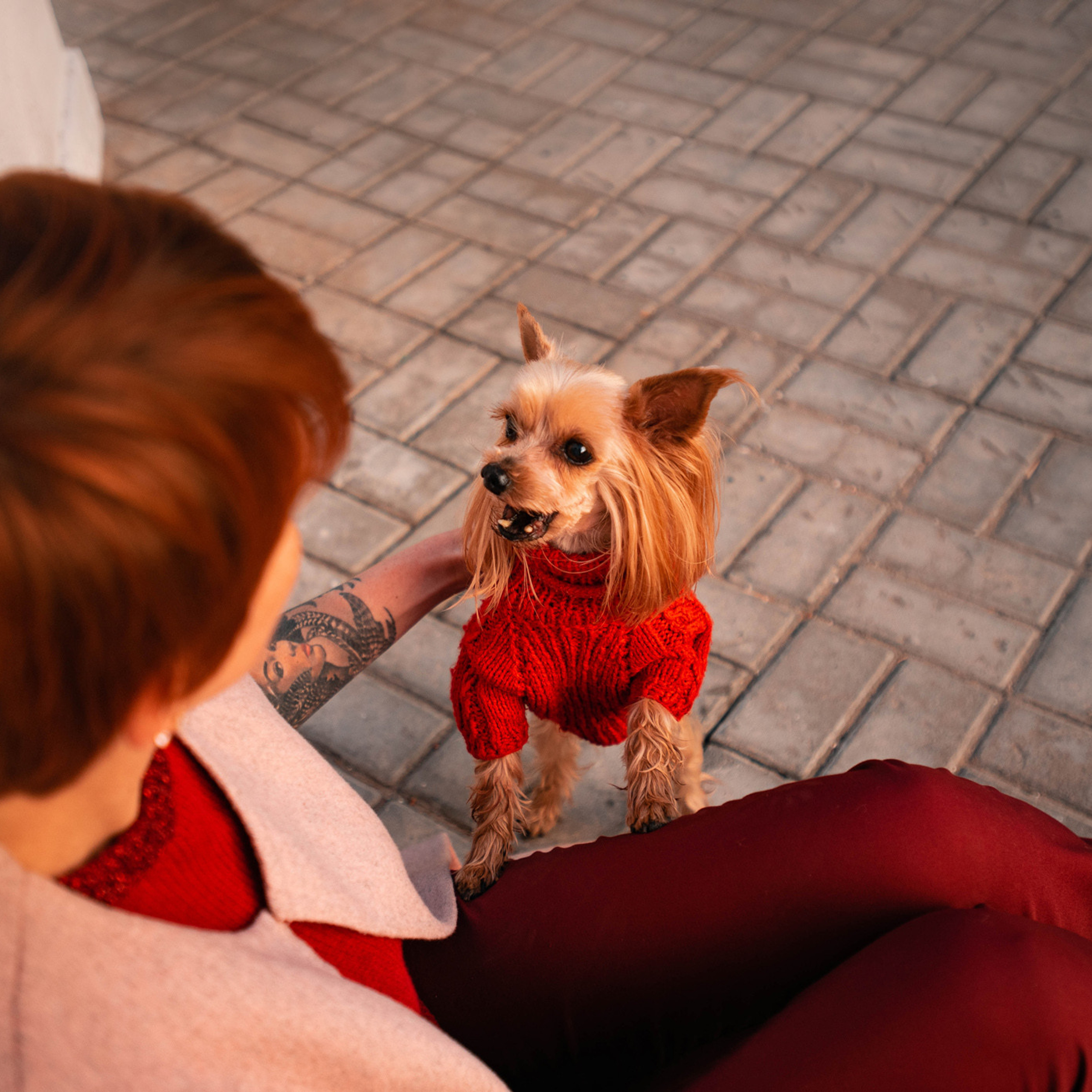 Ира и Вжик. Фотограф — анималист Саратов/Москва|Плужникова Юлия