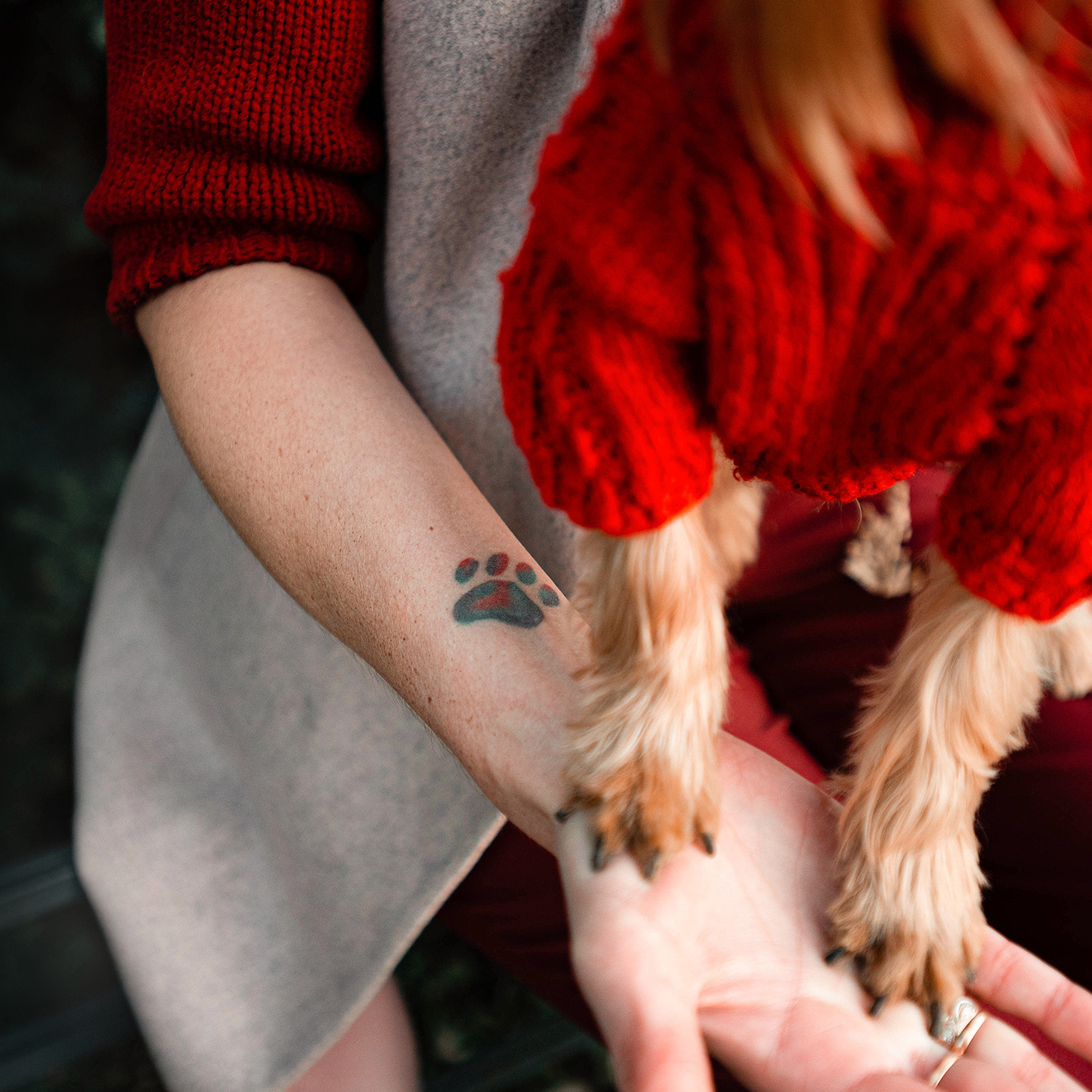 Ира и Вжик. Фотограф — анималист Саратов/Москва|Плужникова Юлия