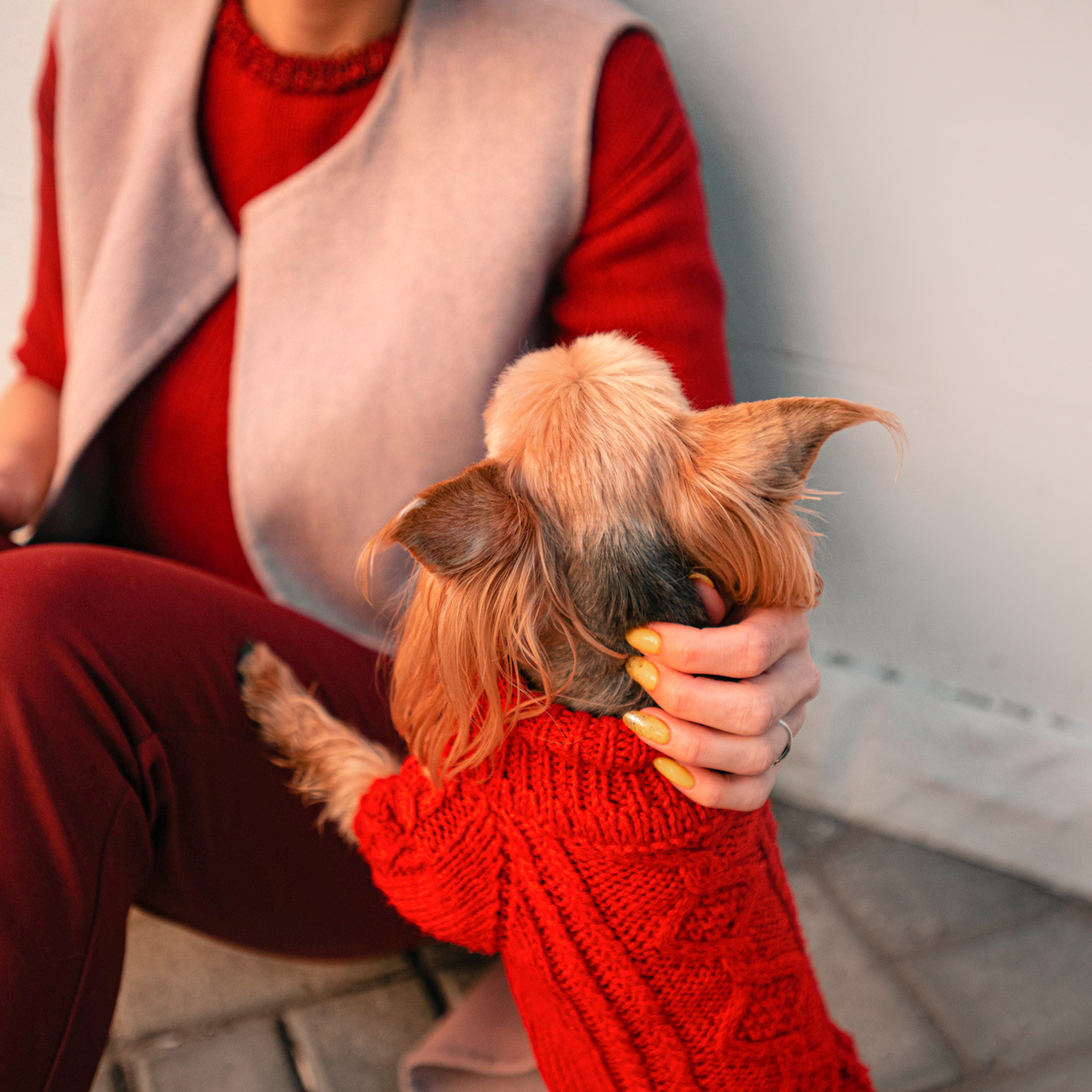 Ира и Вжик. Фотограф — анималист Саратов/Москва|Плужникова Юлия