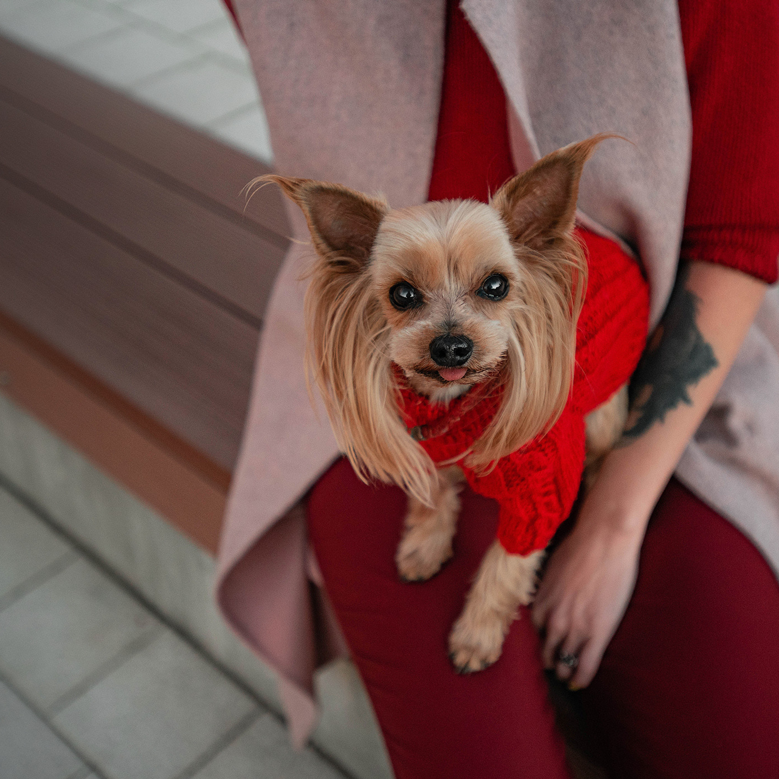 Ира и Вжик. Фотограф — анималист Саратов/Москва|Плужникова Юлия