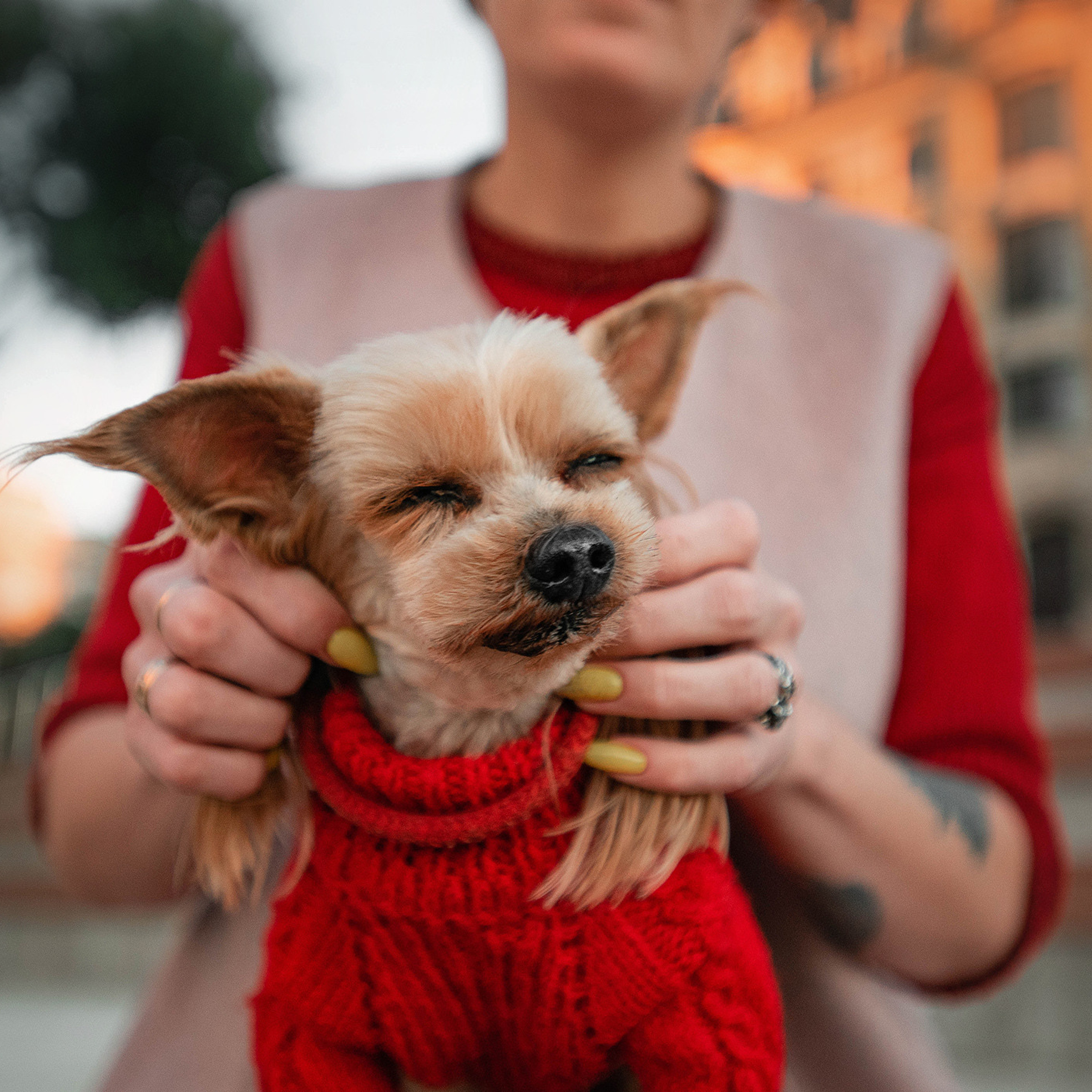 Ира и Вжик. Фотограф — анималист Саратов/Москва|Плужникова Юлия