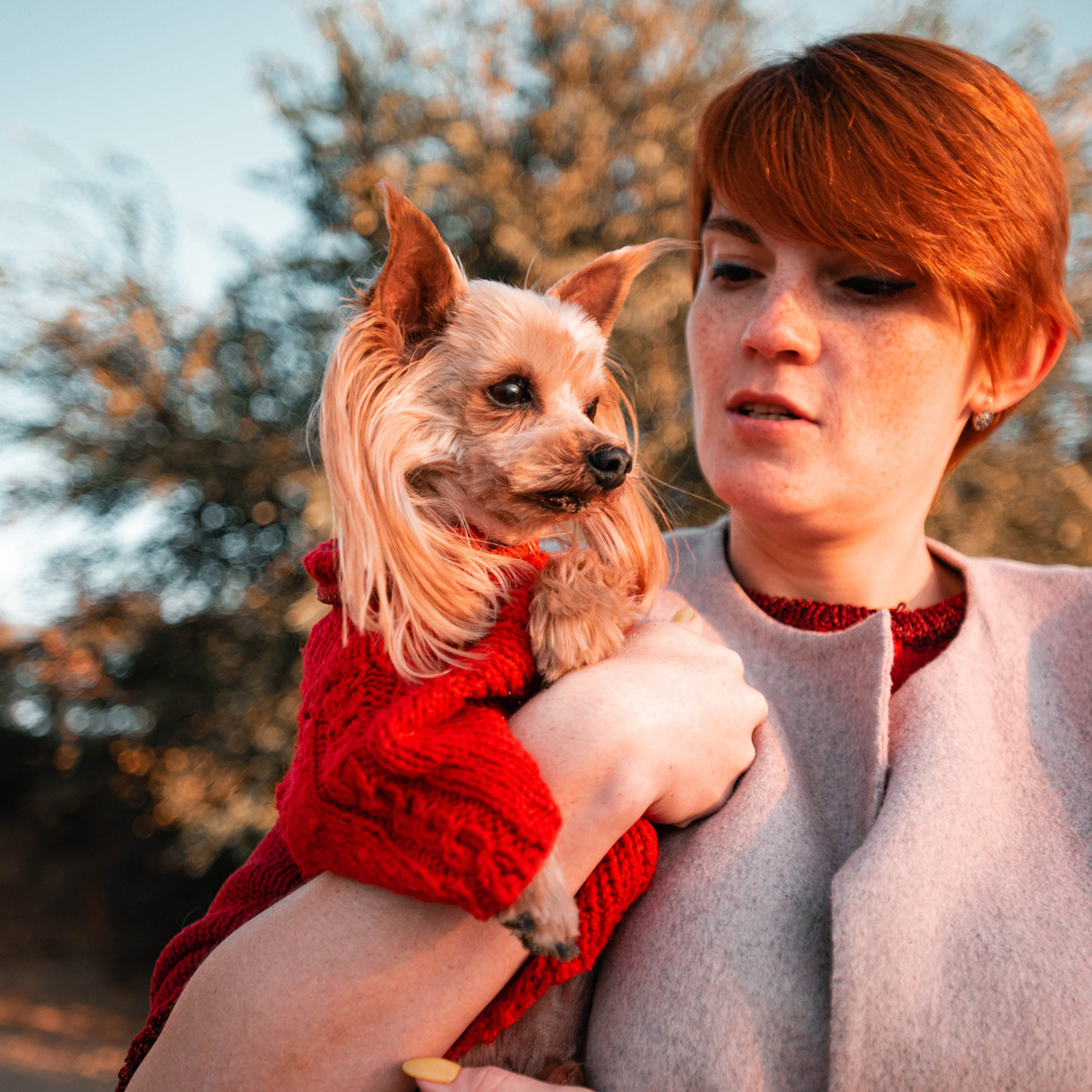 Ира и Вжик. Фотограф — анималист Саратов/Москва|Плужникова Юлия