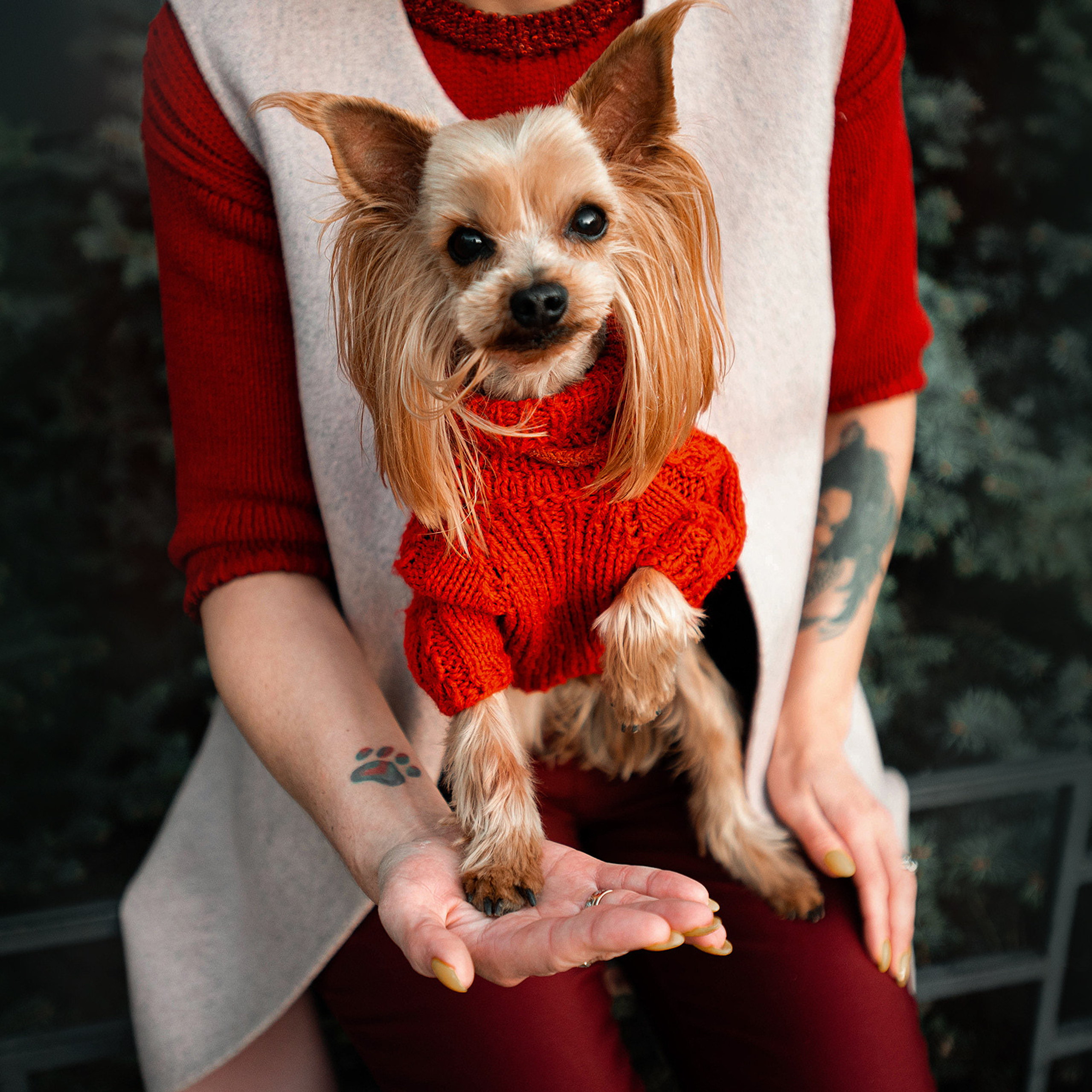 Ира и Вжик. Фотограф — анималист Саратов/Москва|Плужникова Юлия