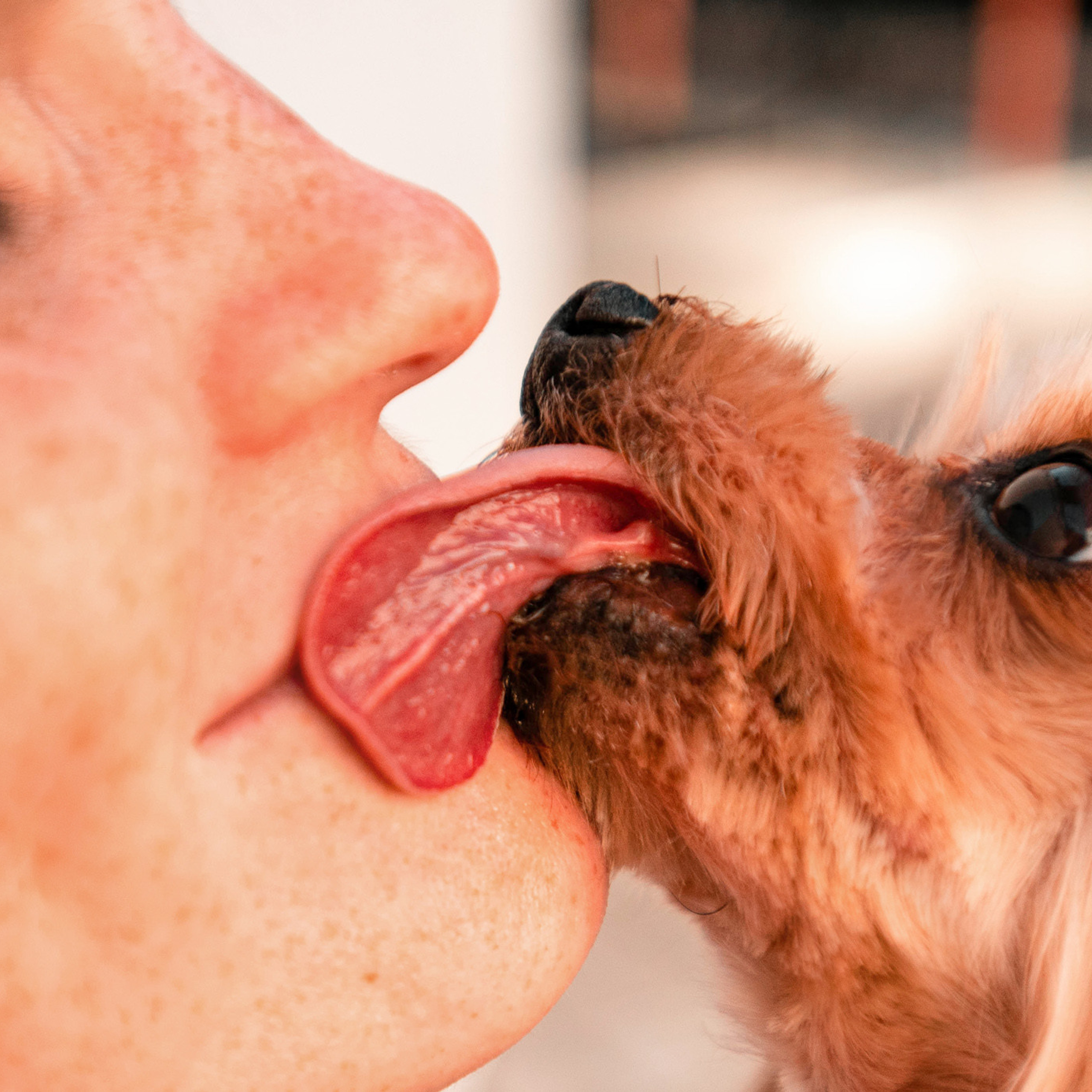 Ира и Вжик. Фотограф — анималист Саратов/Москва|Плужникова Юлия