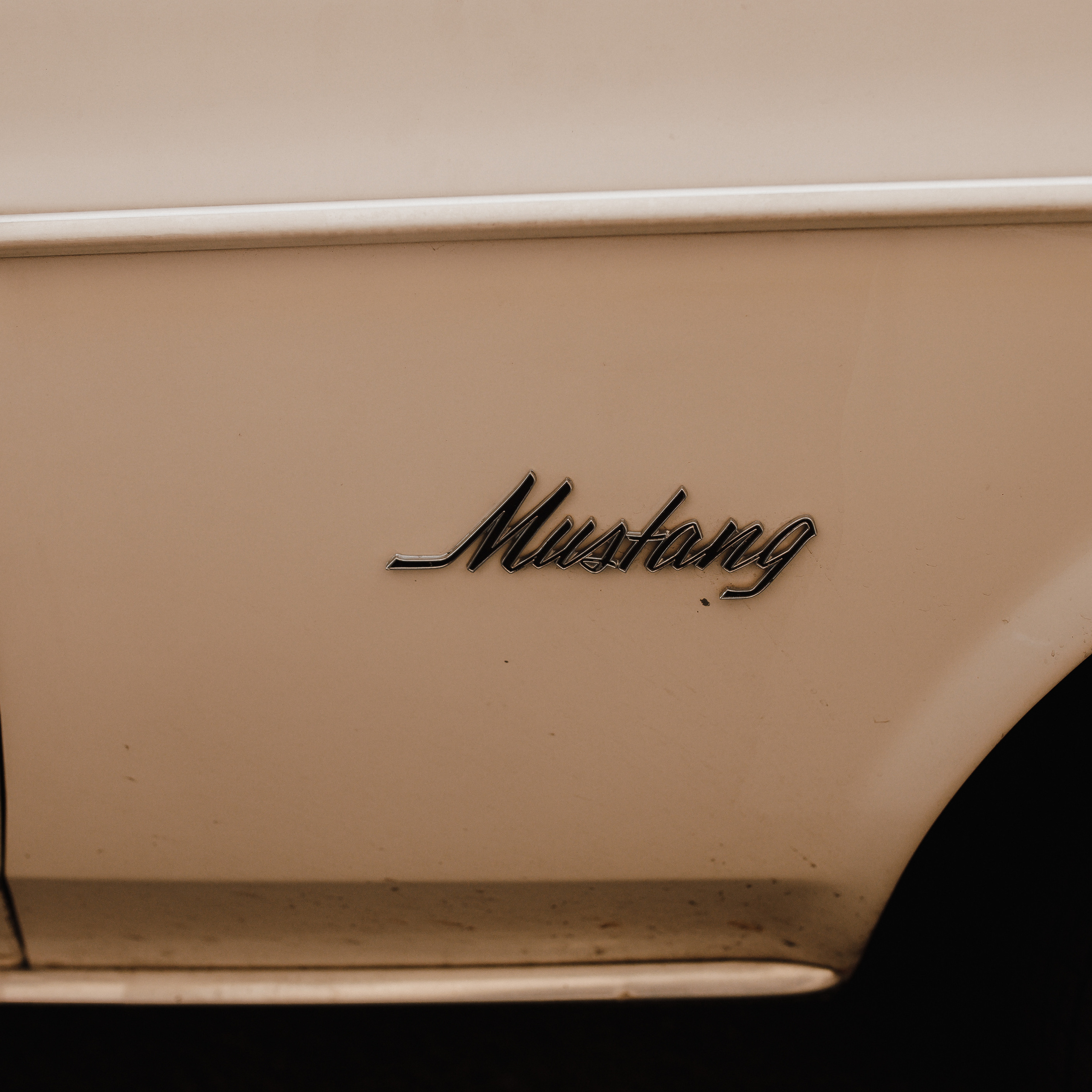 Дима и Света (Питер). Семейный свадебный фотограф Семен Егоров