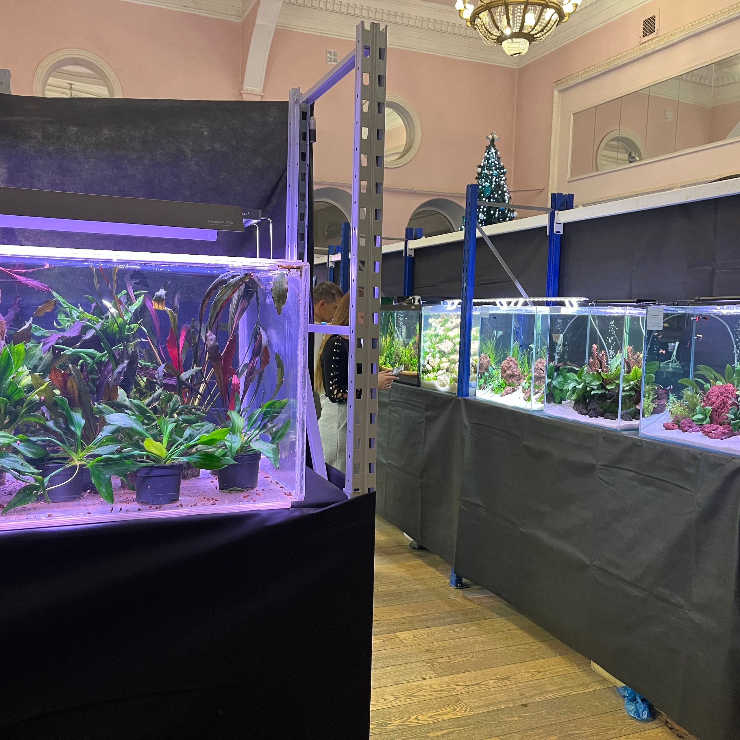 π΄ Π ΡΡΡΠΊΠΈΠ΅ Π°ΠΊΠ²Π°ΡΠΈΡΠΌΡ 2025. Home