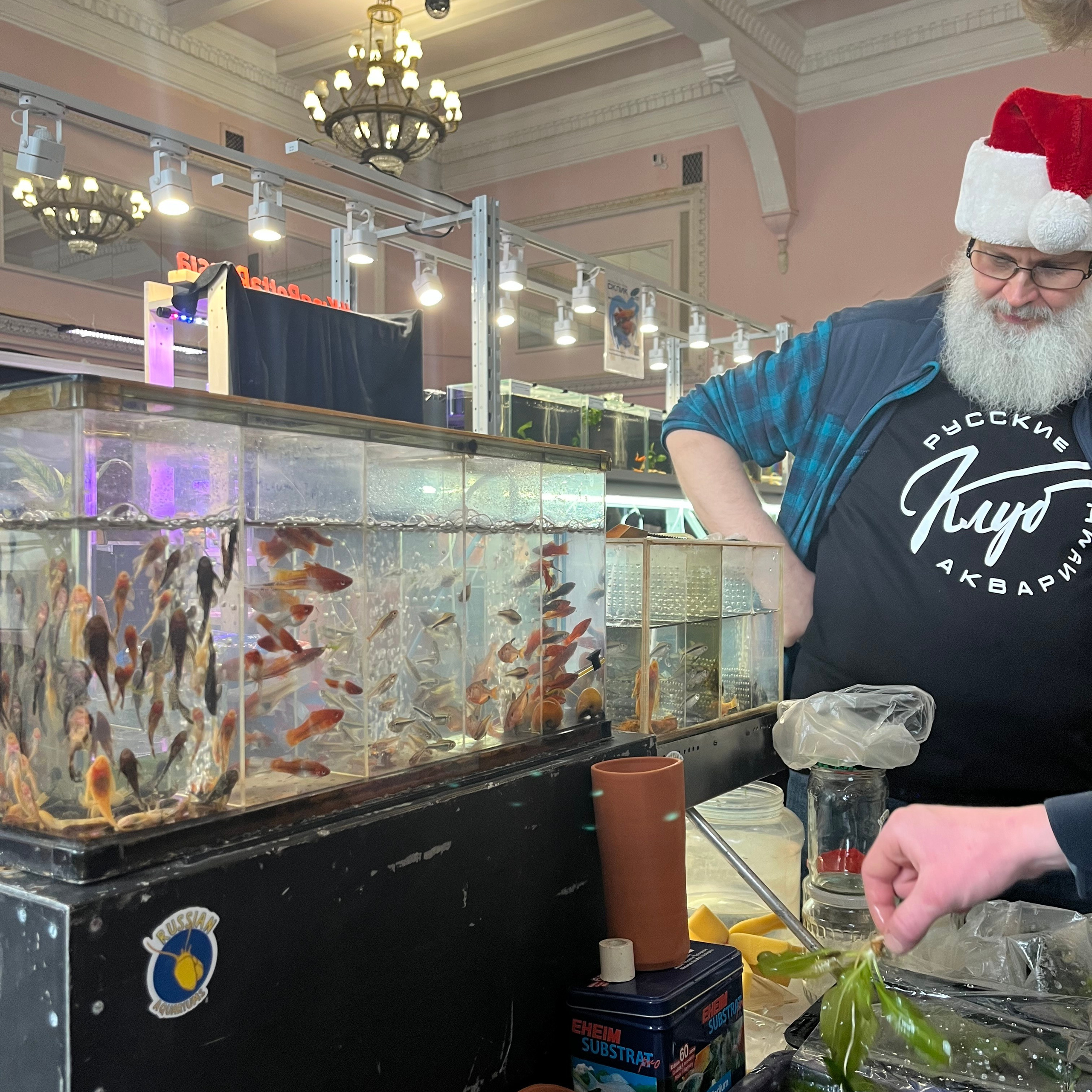 π΄ Π ΡΡΡΠΊΠΈΠ΅ Π°ΠΊΠ²Π°ΡΠΈΡΠΌΡ 2025. Home