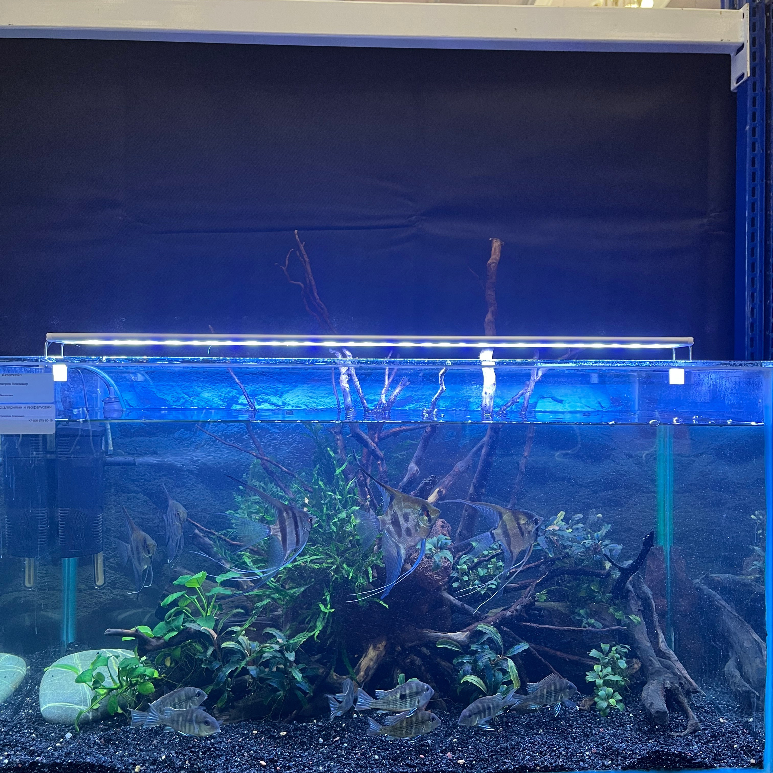 π΄ Π ΡΡΡΠΊΠΈΠ΅ Π°ΠΊΠ²Π°ΡΠΈΡΠΌΡ 2025. Home