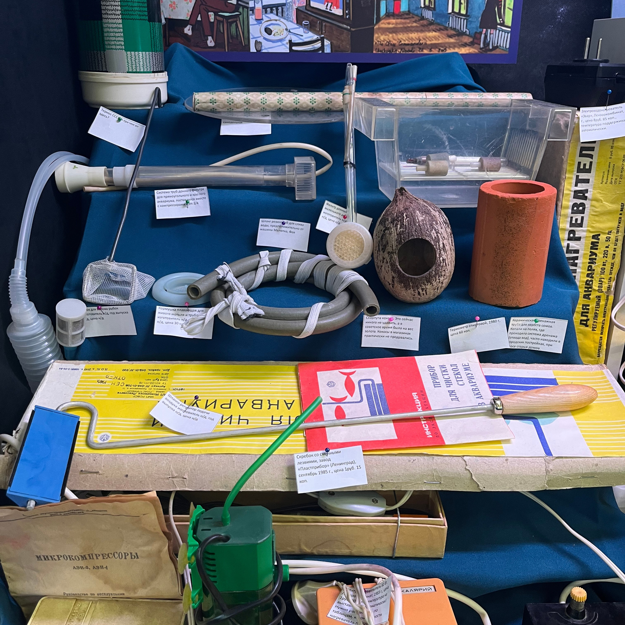 π΄ Π ΡΡΡΠΊΠΈΠ΅ Π°ΠΊΠ²Π°ΡΠΈΡΠΌΡ 2025. Home