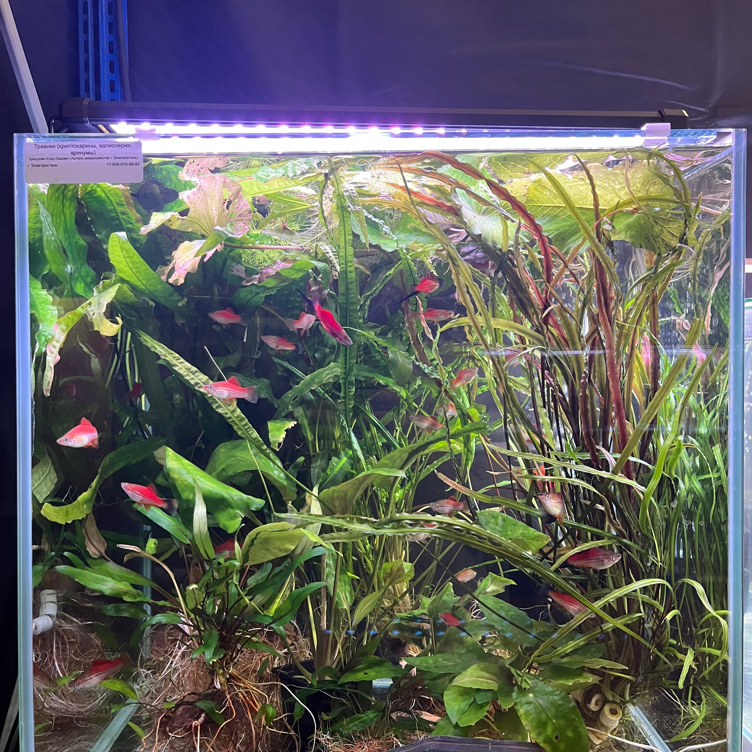 π΄ Π ΡΡΡΠΊΠΈΠ΅ Π°ΠΊΠ²Π°ΡΠΈΡΠΌΡ 2025. Home