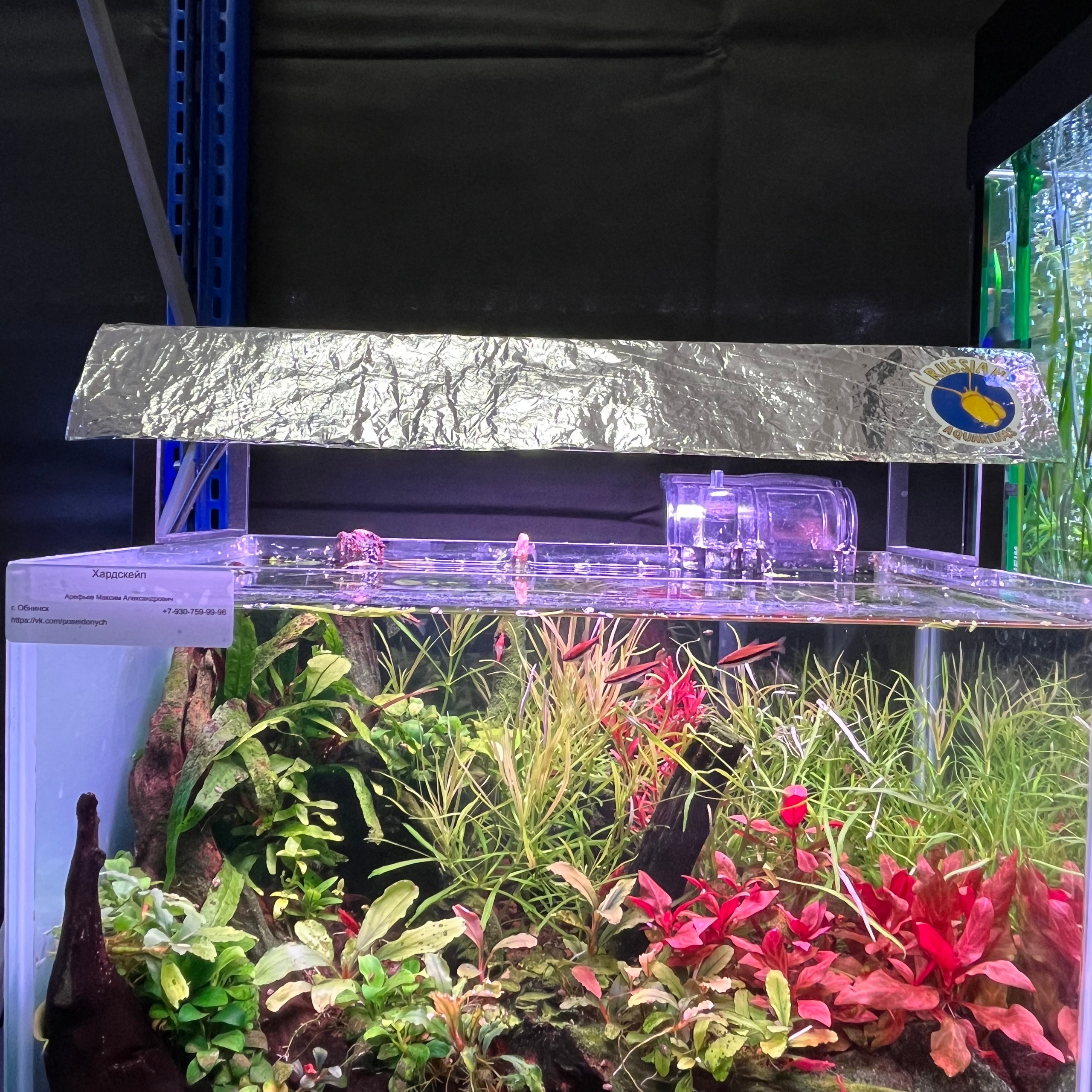 π΄ Π ΡΡΡΠΊΠΈΠ΅ Π°ΠΊΠ²Π°ΡΠΈΡΠΌΡ 2025. Home