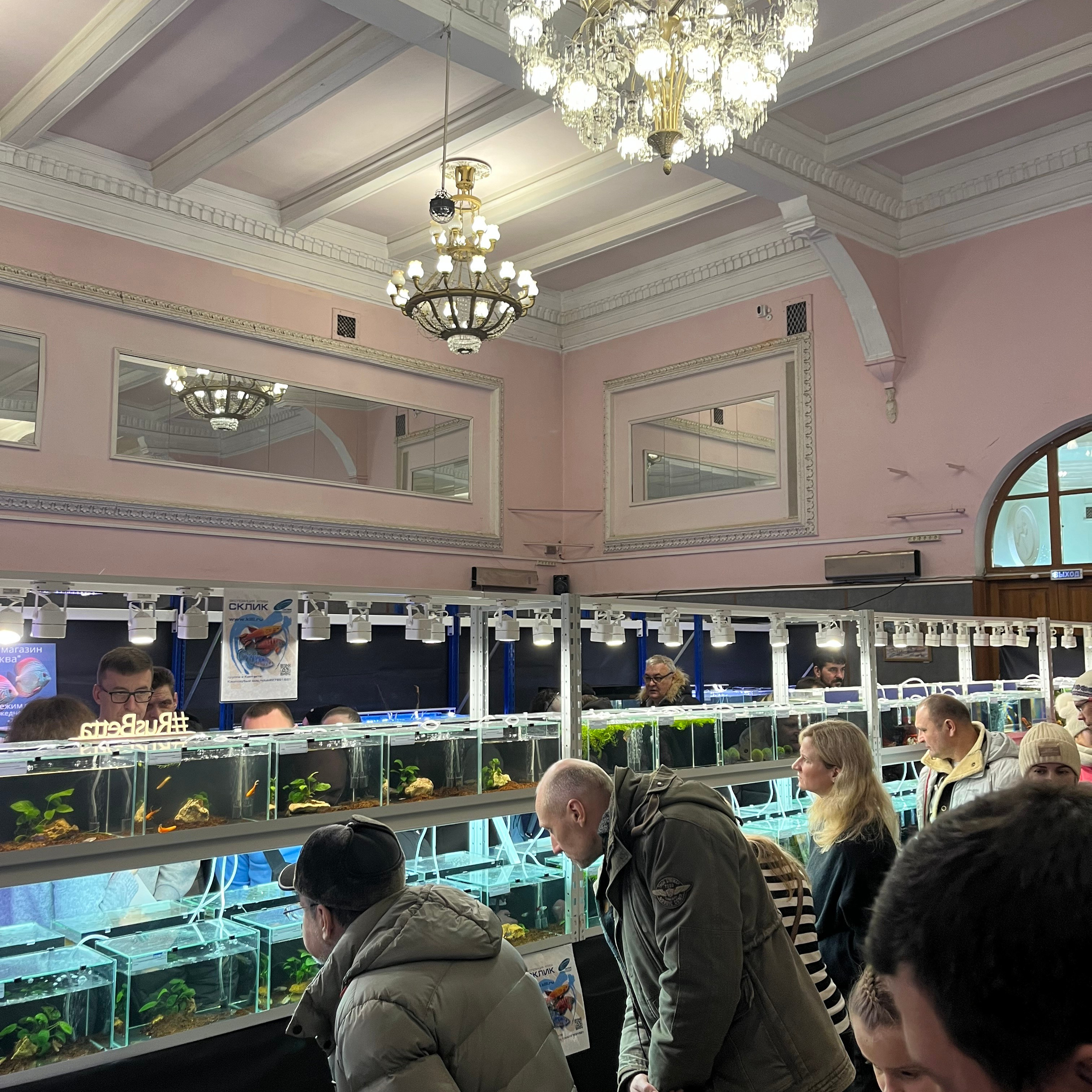 π΄ Π ΡΡΡΠΊΠΈΠ΅ Π°ΠΊΠ²Π°ΡΠΈΡΠΌΡ 2025. Home