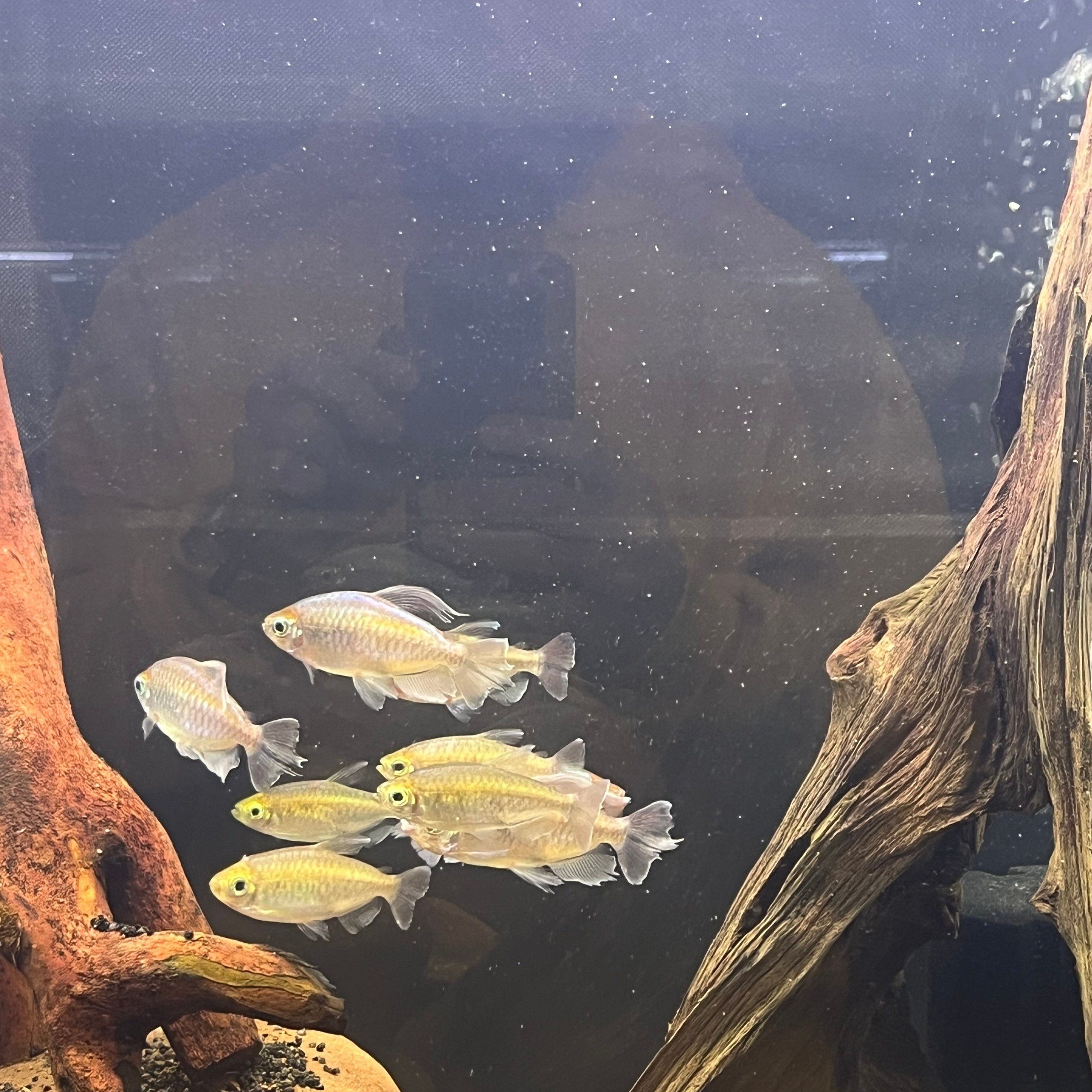 π΄ Π ΡΡΡΠΊΠΈΠ΅ Π°ΠΊΠ²Π°ΡΠΈΡΠΌΡ 2025. Home