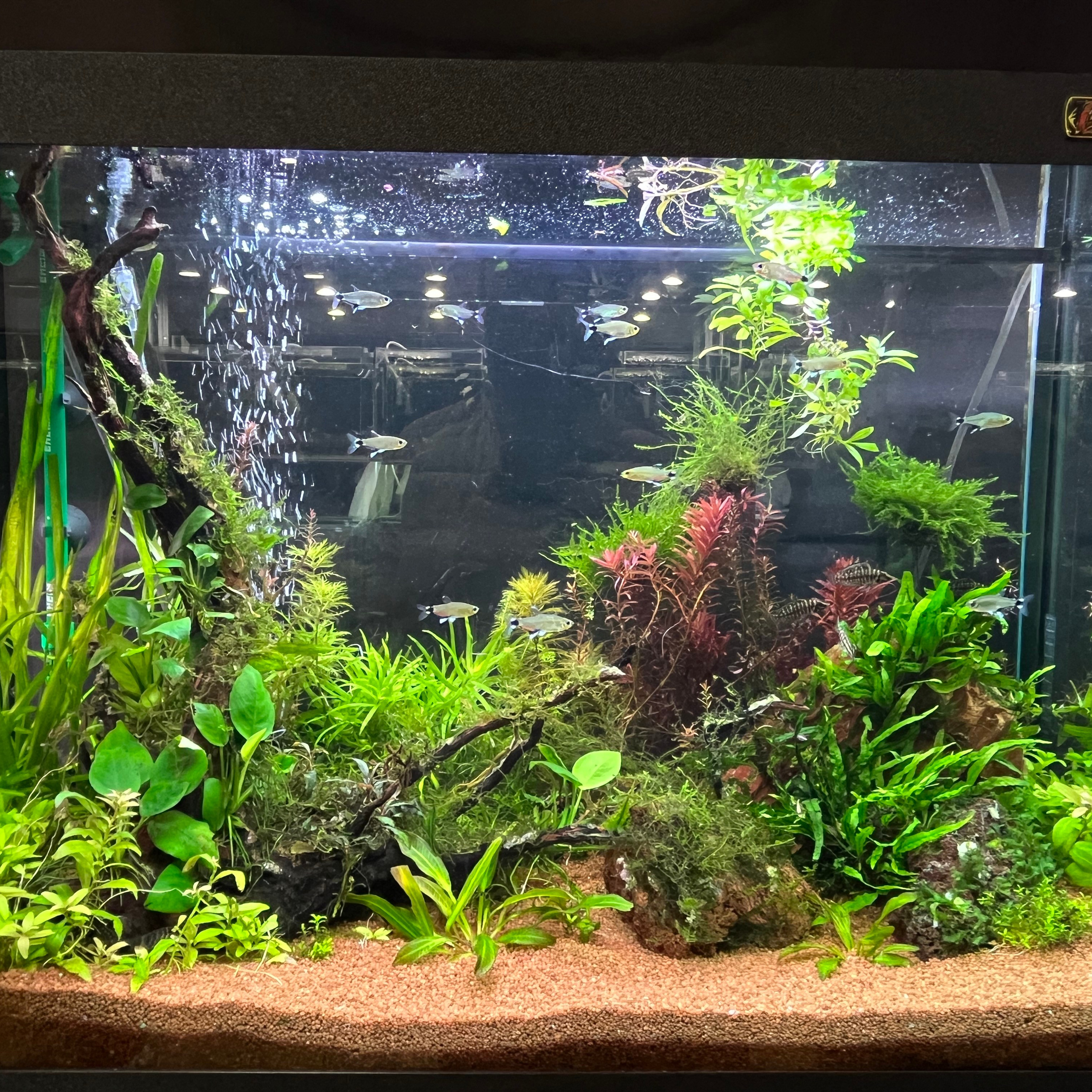 π΄ Π ΡΡΡΠΊΠΈΠ΅ Π°ΠΊΠ²Π°ΡΠΈΡΠΌΡ 2025. Home