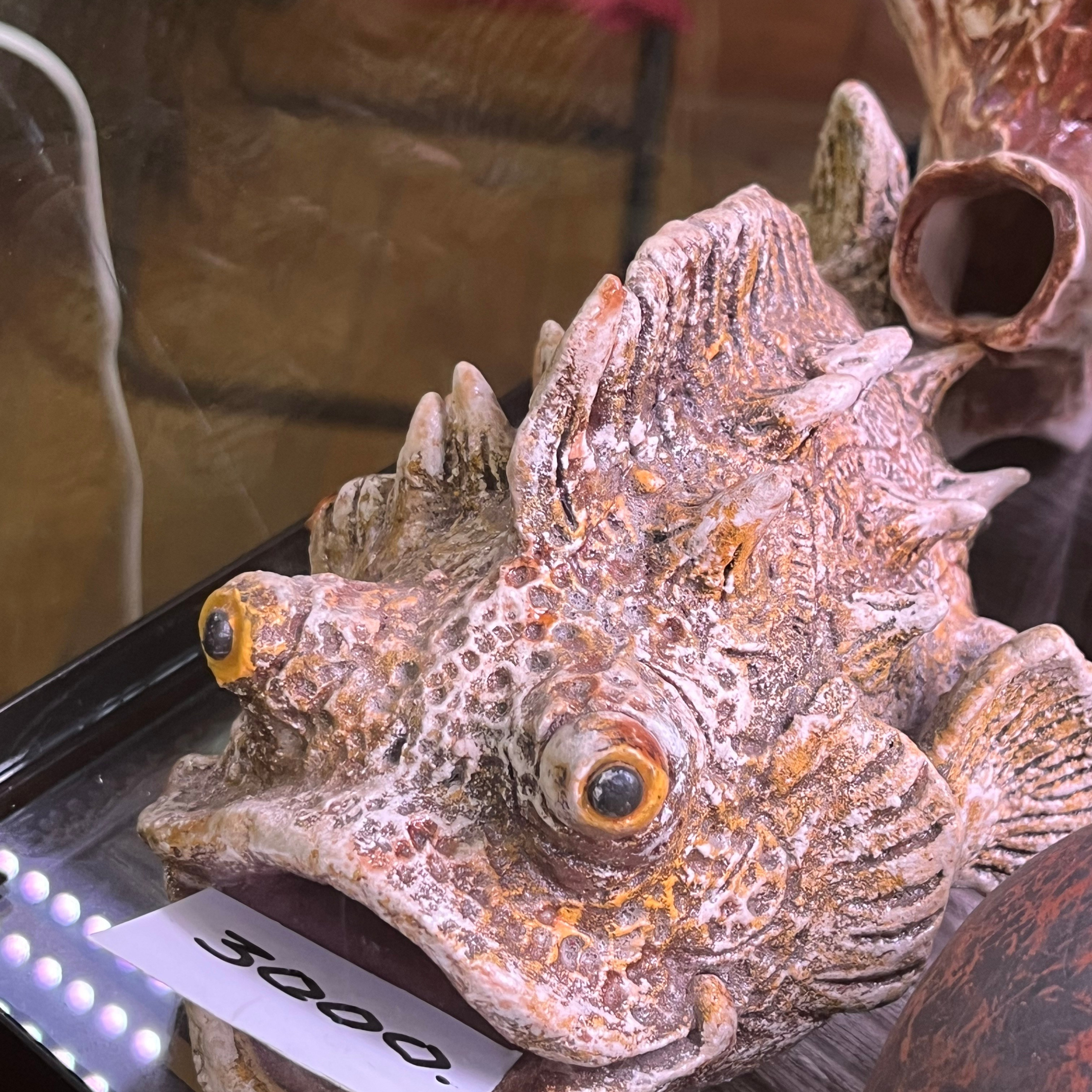 π΄ Π ΡΡΡΠΊΠΈΠ΅ Π°ΠΊΠ²Π°ΡΠΈΡΠΌΡ 2025. Home