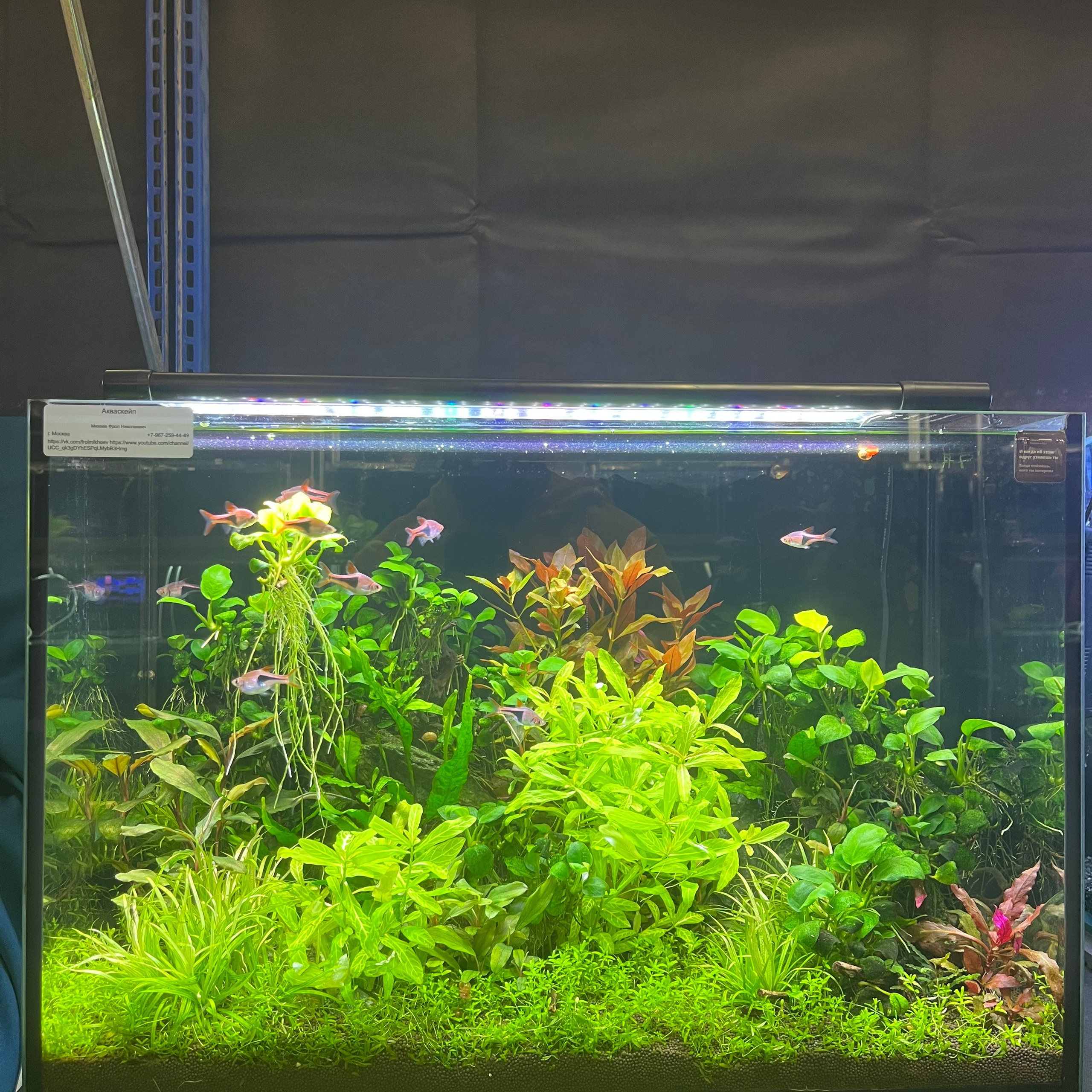 π΄ Π ΡΡΡΠΊΠΈΠ΅ Π°ΠΊΠ²Π°ΡΠΈΡΠΌΡ 2025. Home