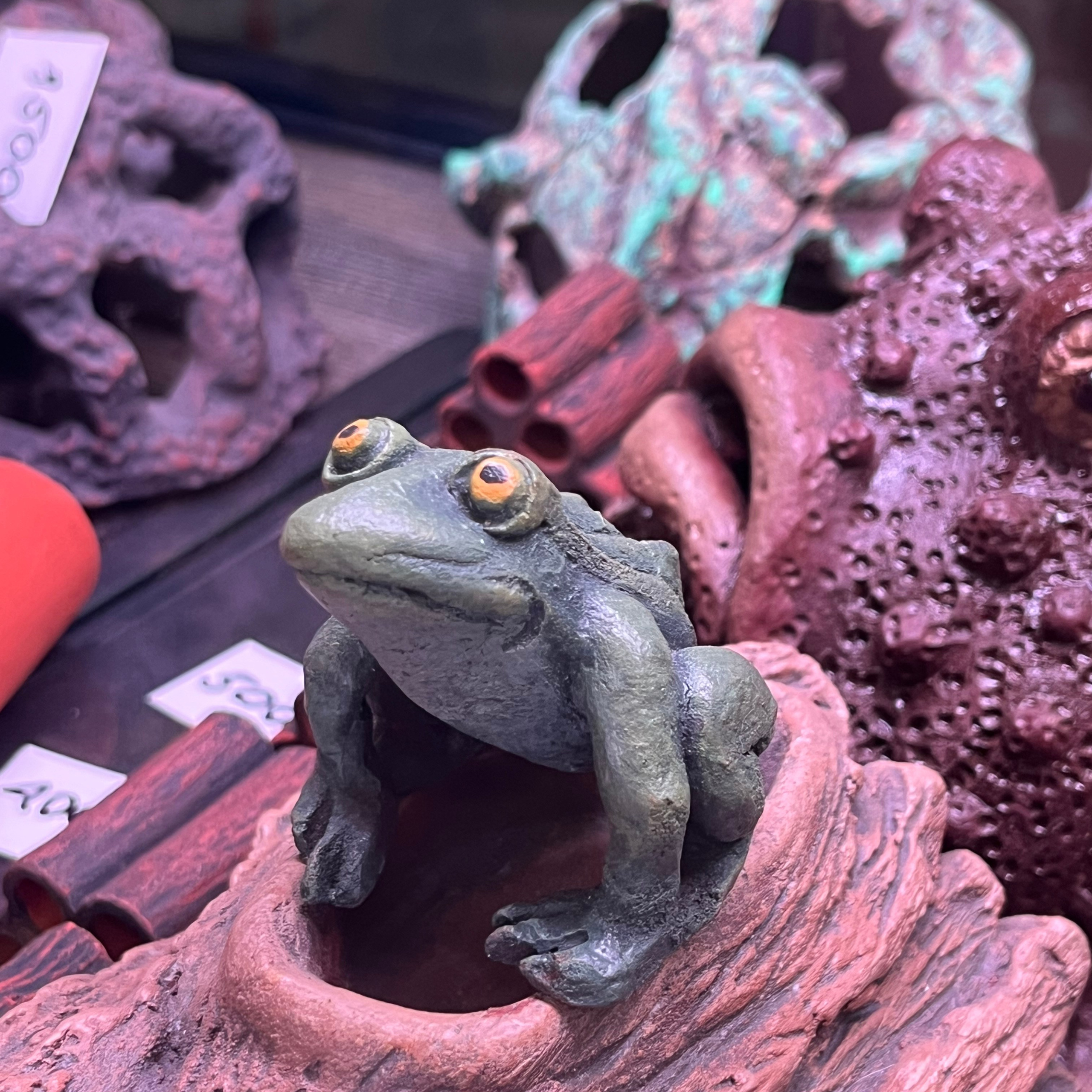 π΄ Π ΡΡΡΠΊΠΈΠ΅ Π°ΠΊΠ²Π°ΡΠΈΡΠΌΡ 2025. Home