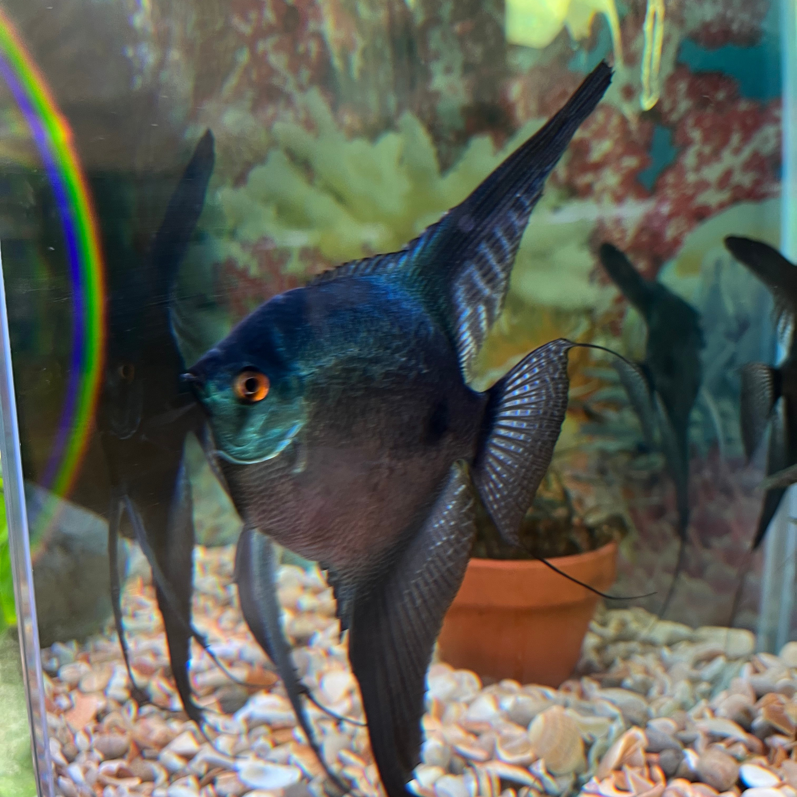 π΄ Π ΡΡΡΠΊΠΈΠ΅ Π°ΠΊΠ²Π°ΡΠΈΡΠΌΡ 2025. Home